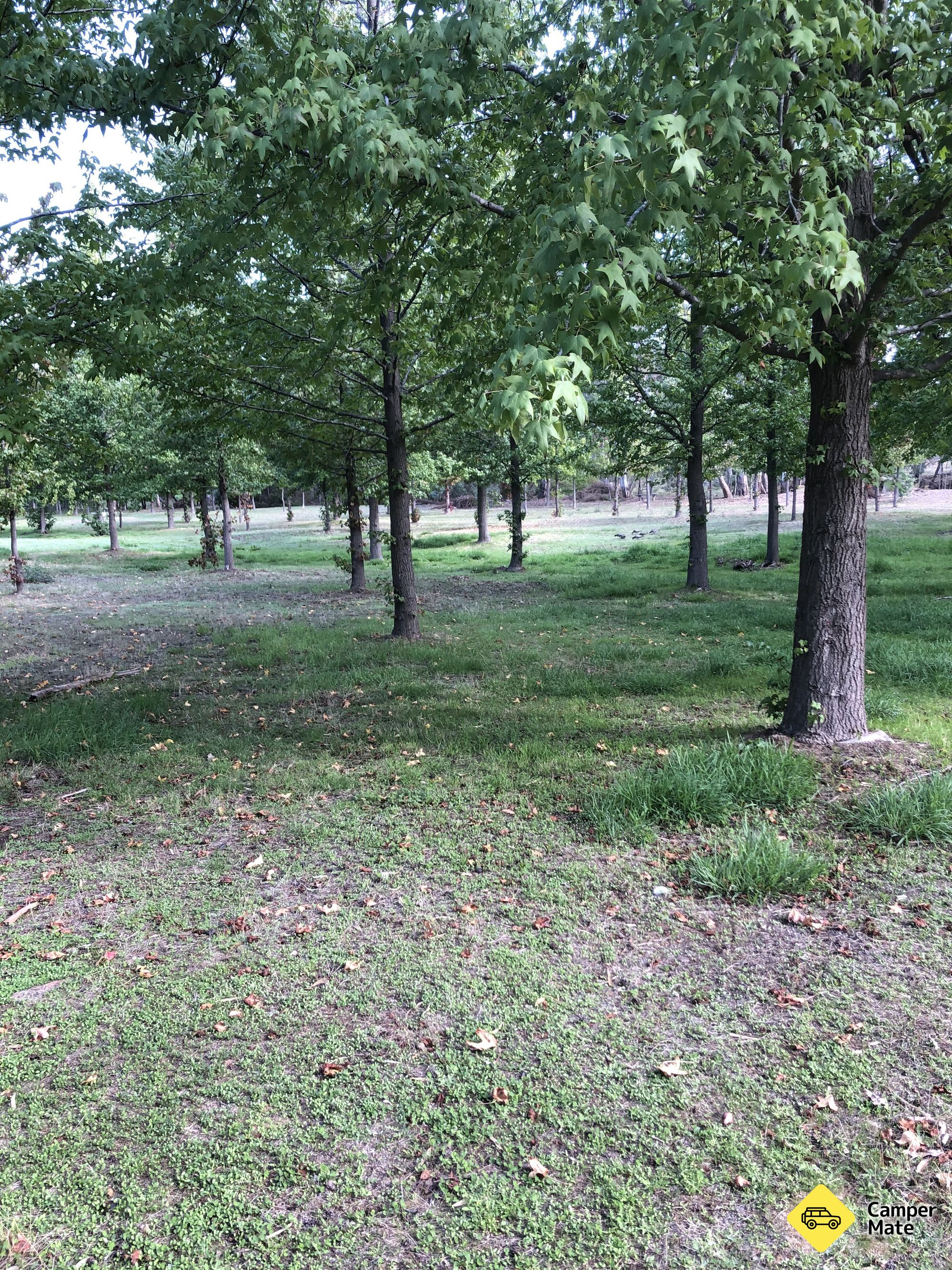 Zona de descanso de Heathcote