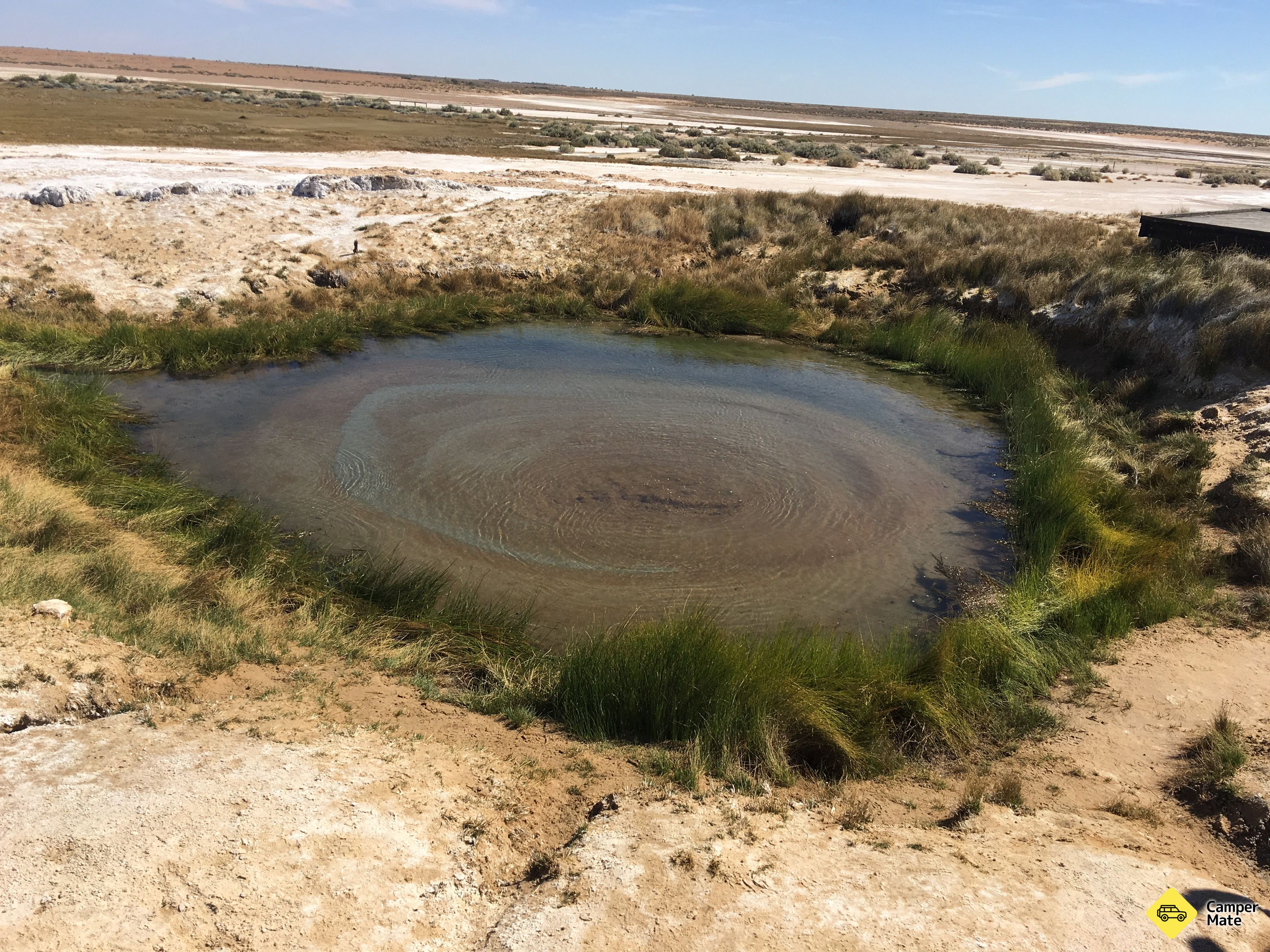 Wabma Kadarbu Mound Springs Conservation Park - Image 2