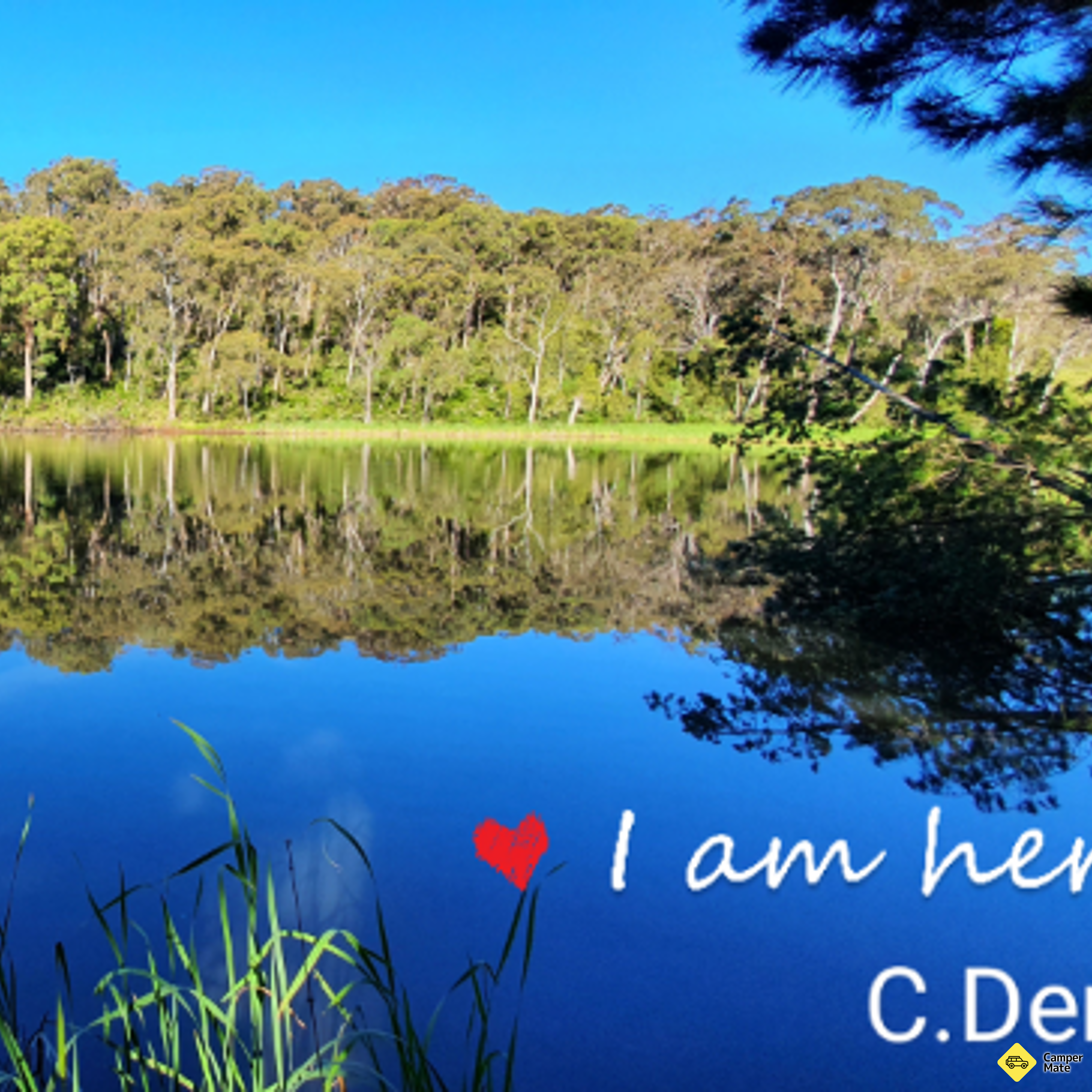 Sheba Dams Reserve - Image 2