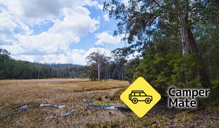 New Country Swamp Campground - Image 2