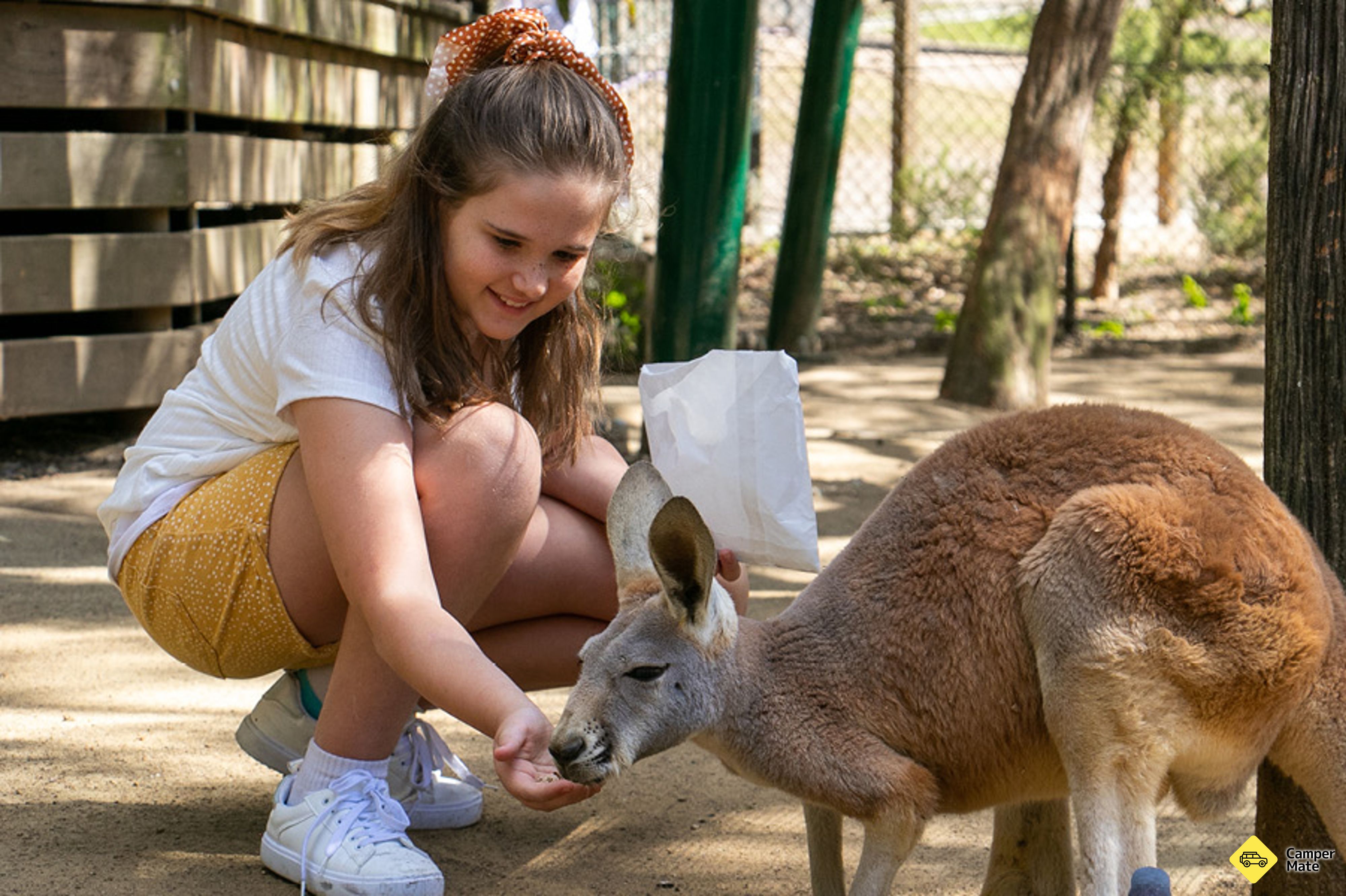 Restaurantes em Currumbin Wildlife Sanctuary - Image 2
