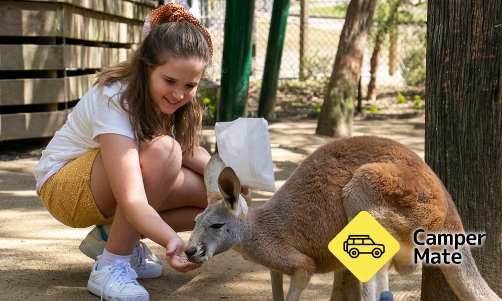 Currumbin Wildlife Sanctuary yakınındaki oteller - Image 2