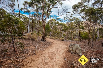 Werribee Gorge Circuit Wandel