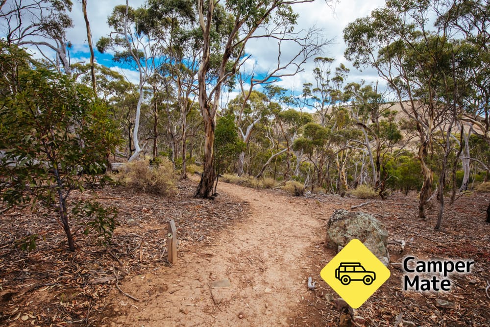 Werribee Gorge Circuit Wandel