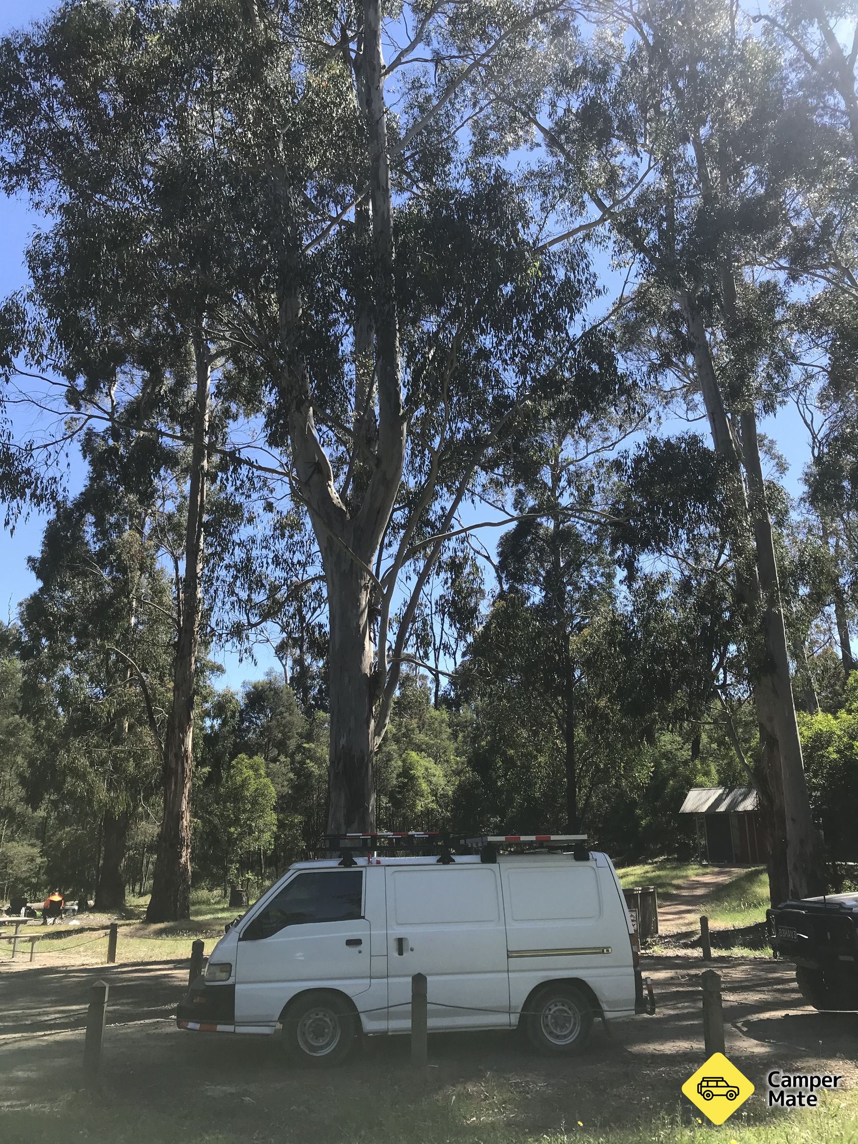 Andersons Garden Campsite