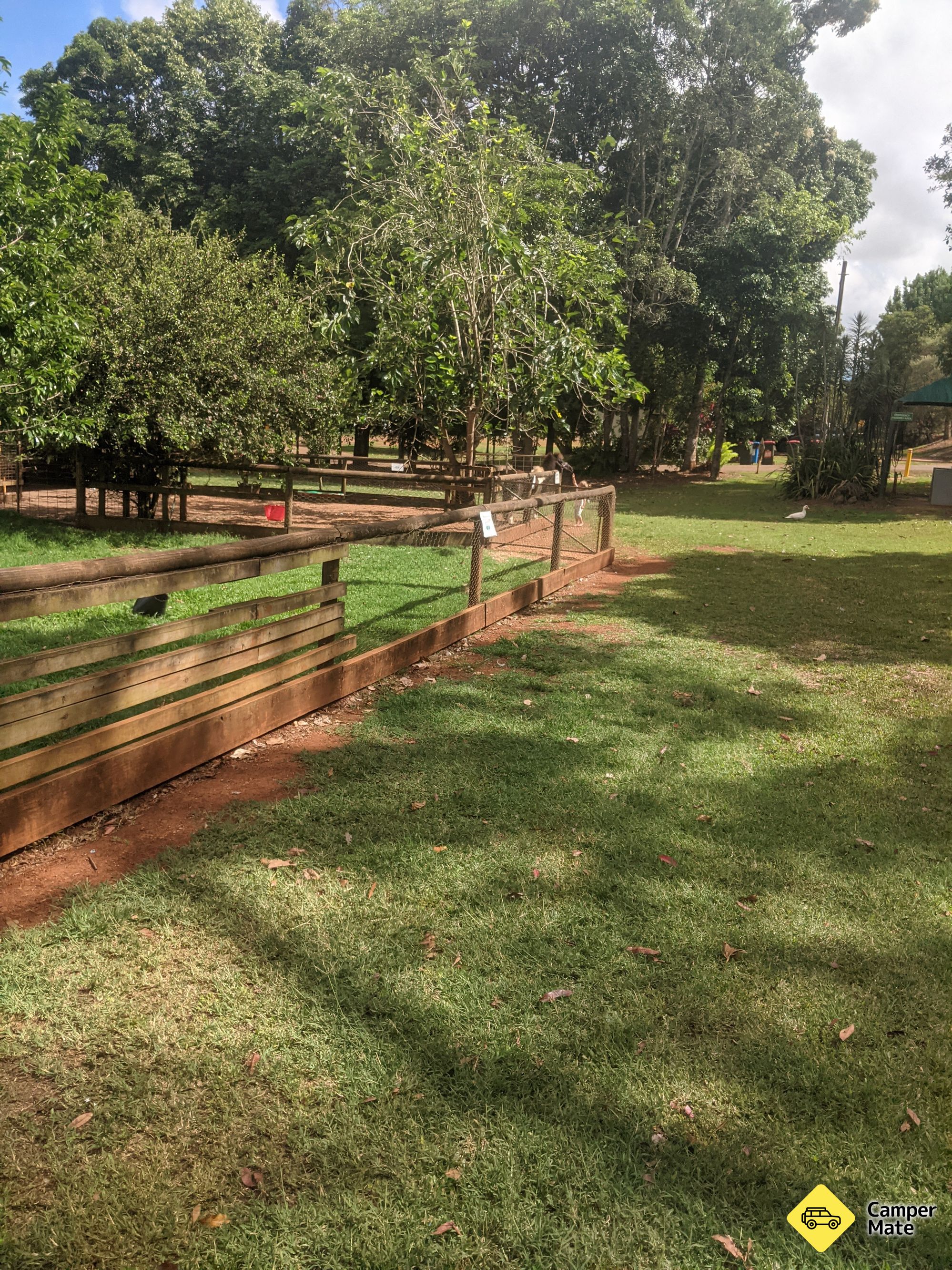 マランダ・フォールズ・カラバン・パーク Malanda Falls Caravan Park - Image 3