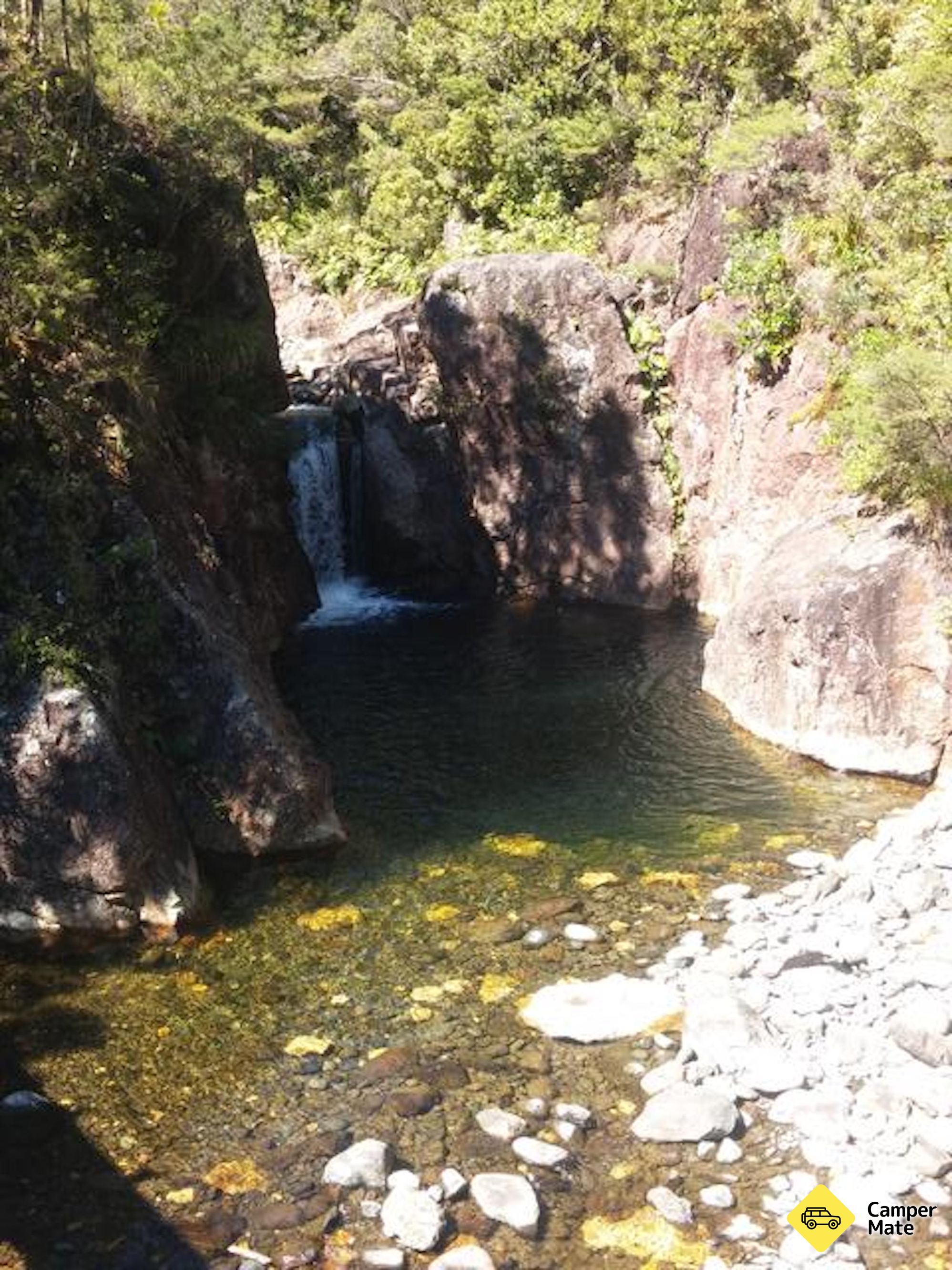 Wharekirauponga Track - Image 3