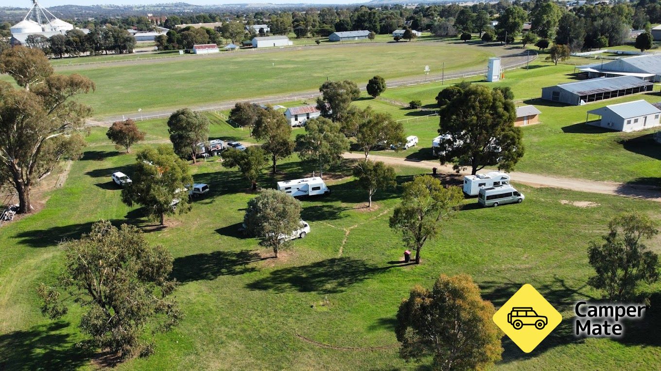 Târgul de spectacole Cootamundra