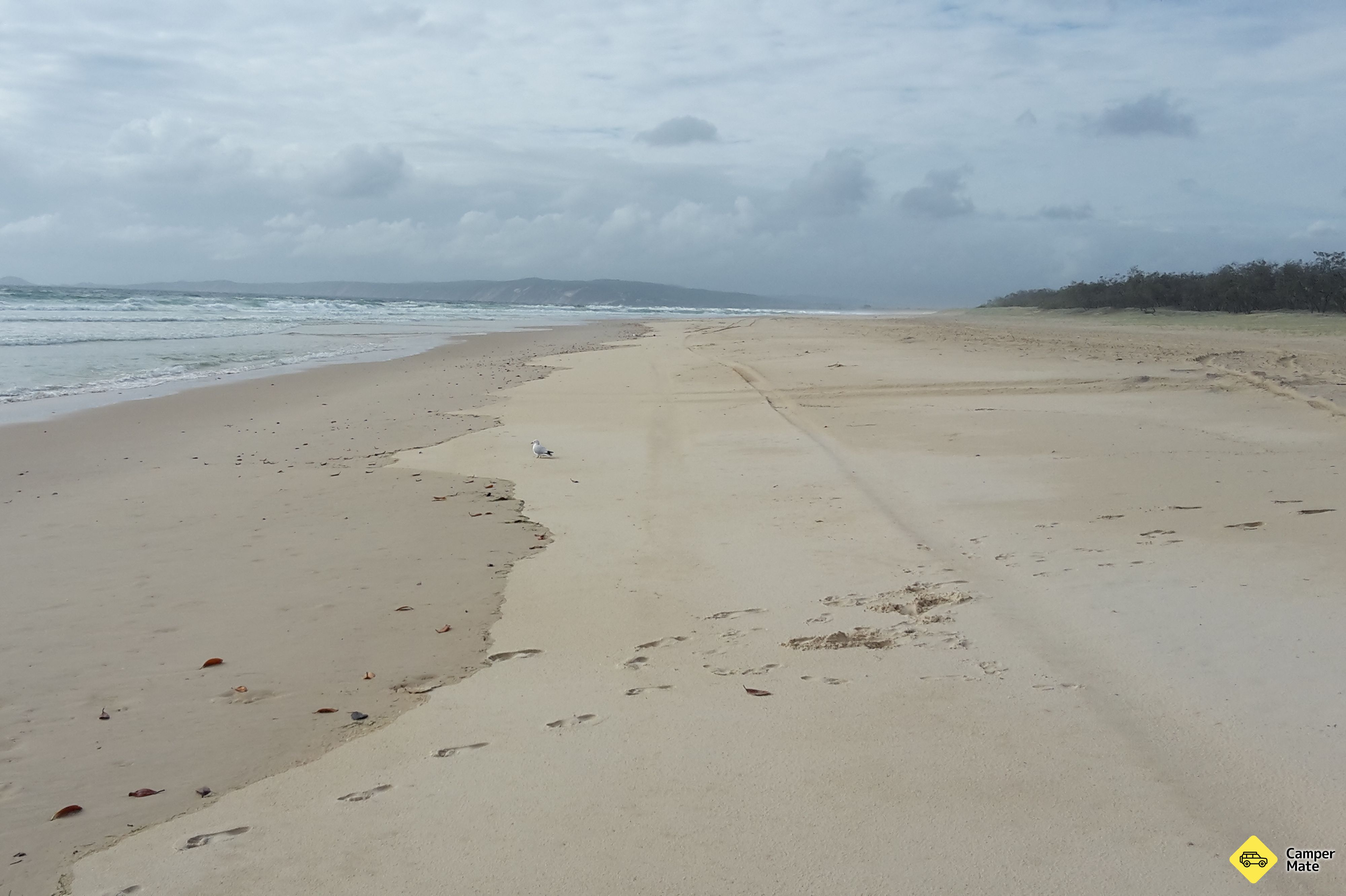 Inskip Point कैम्पग्राउंड - Image 3