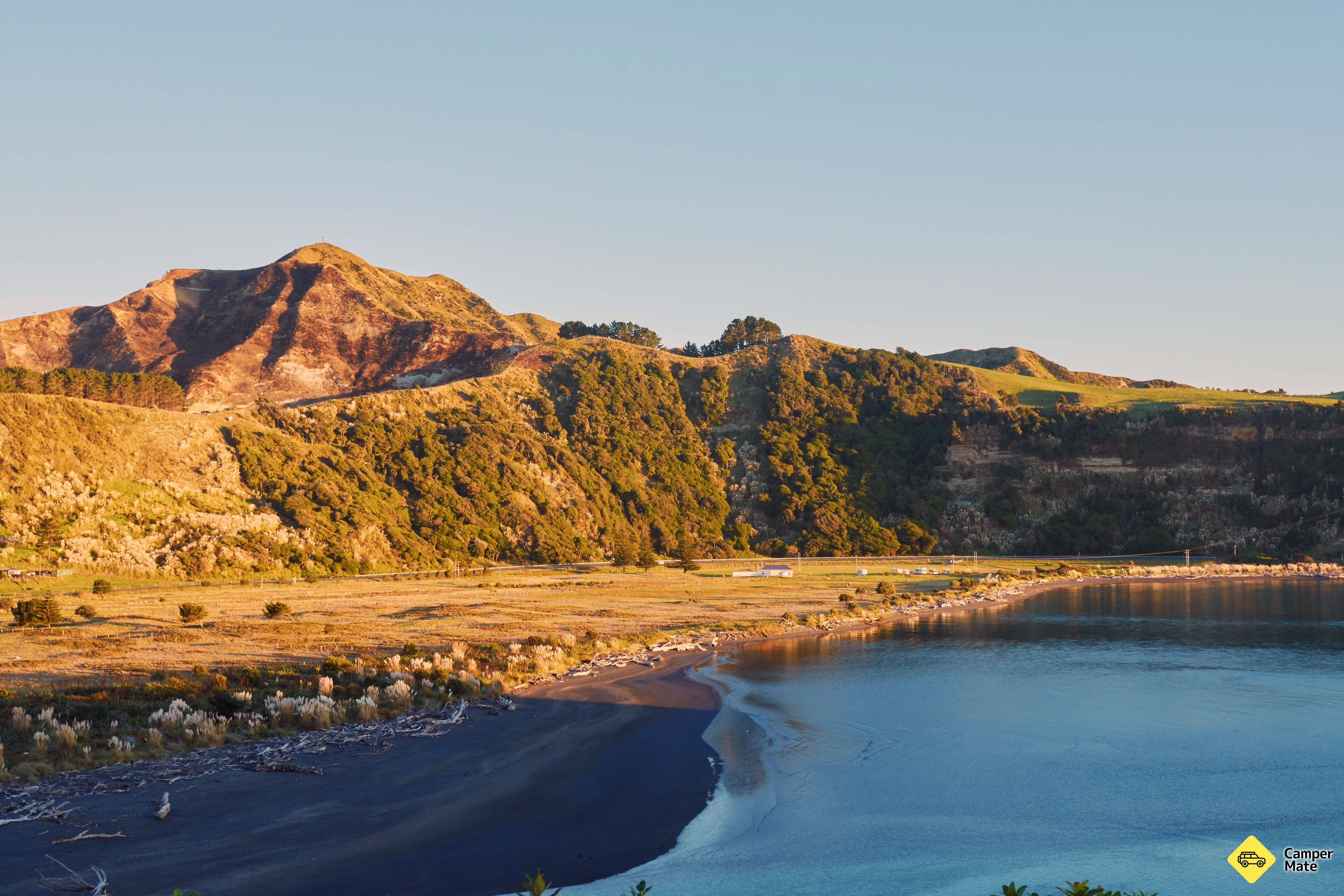 Tainui-Wetere Domain Campsite - Image 2