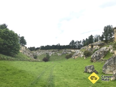 Anatini Fossil Site