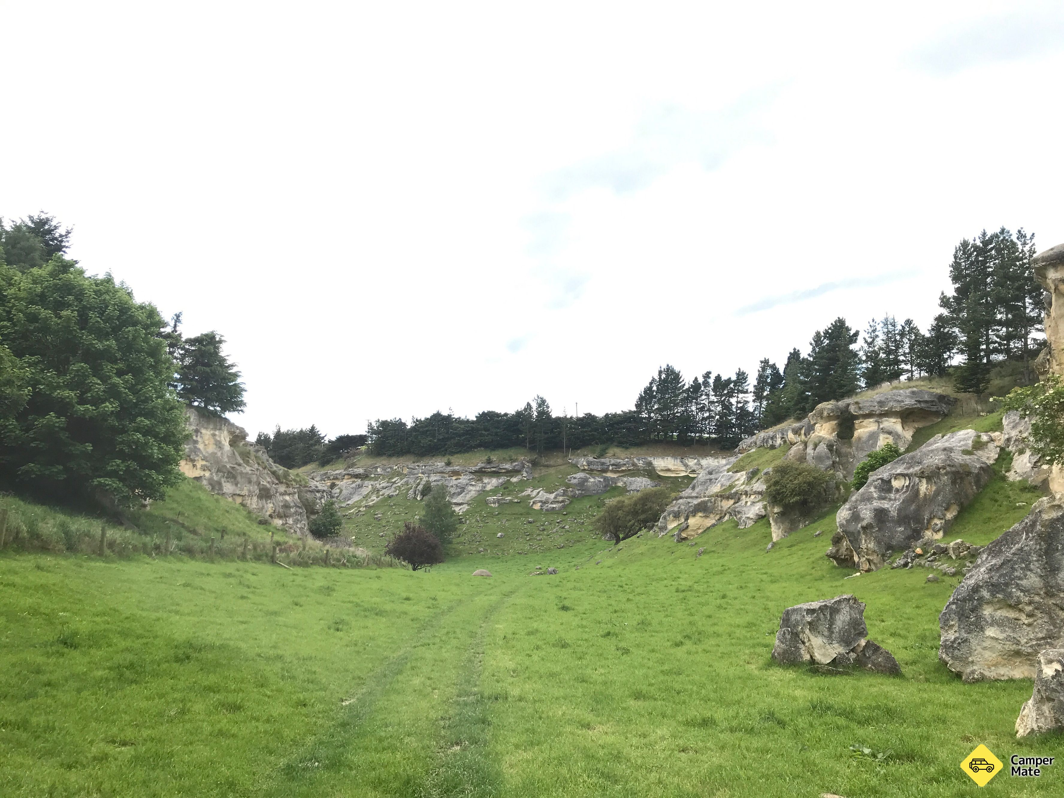 Anatini Fossil Site
