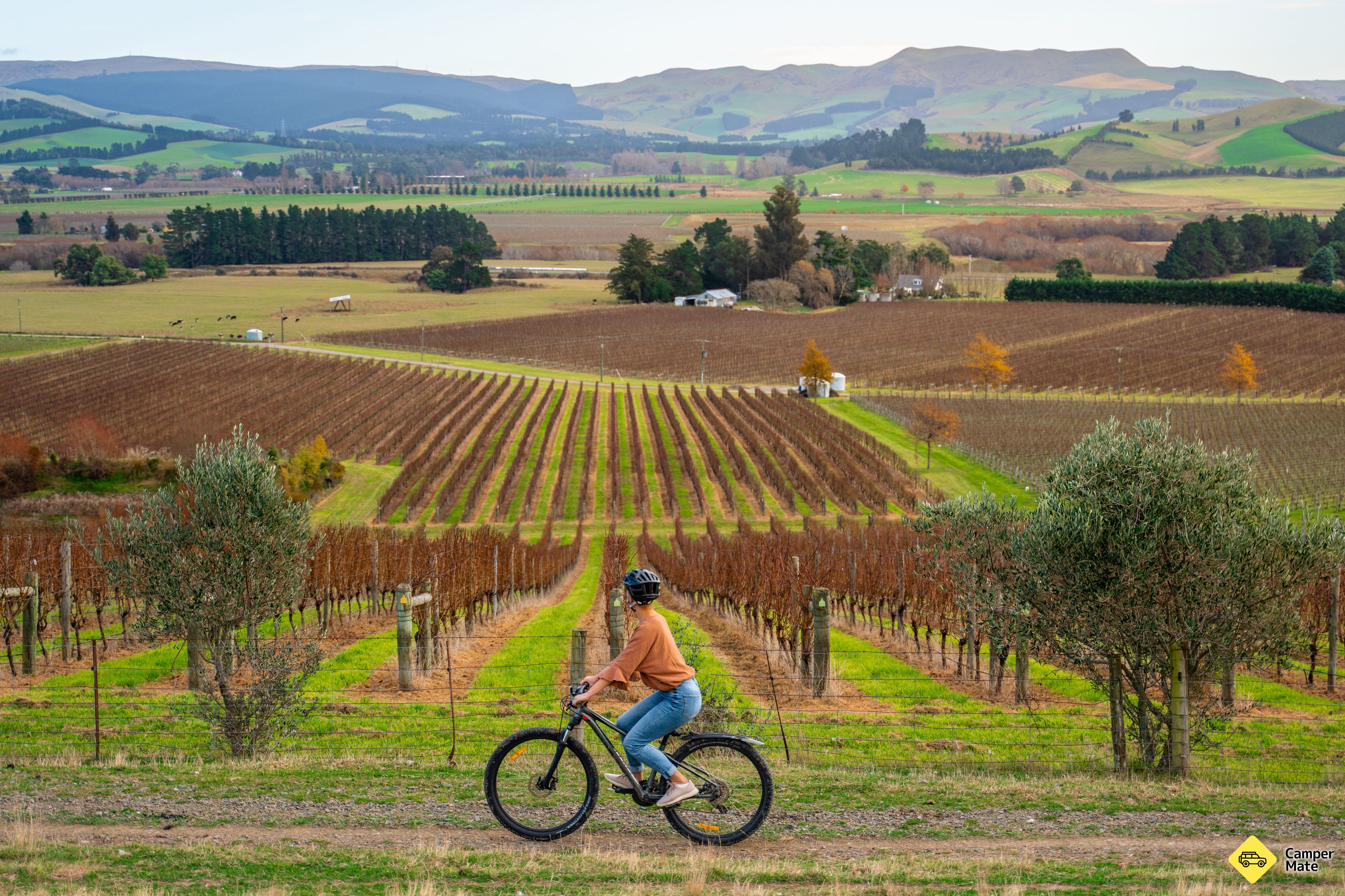 Waipara Valley Vineyard Trail - Image 3