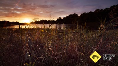 Spring Creek Wetlands Walk