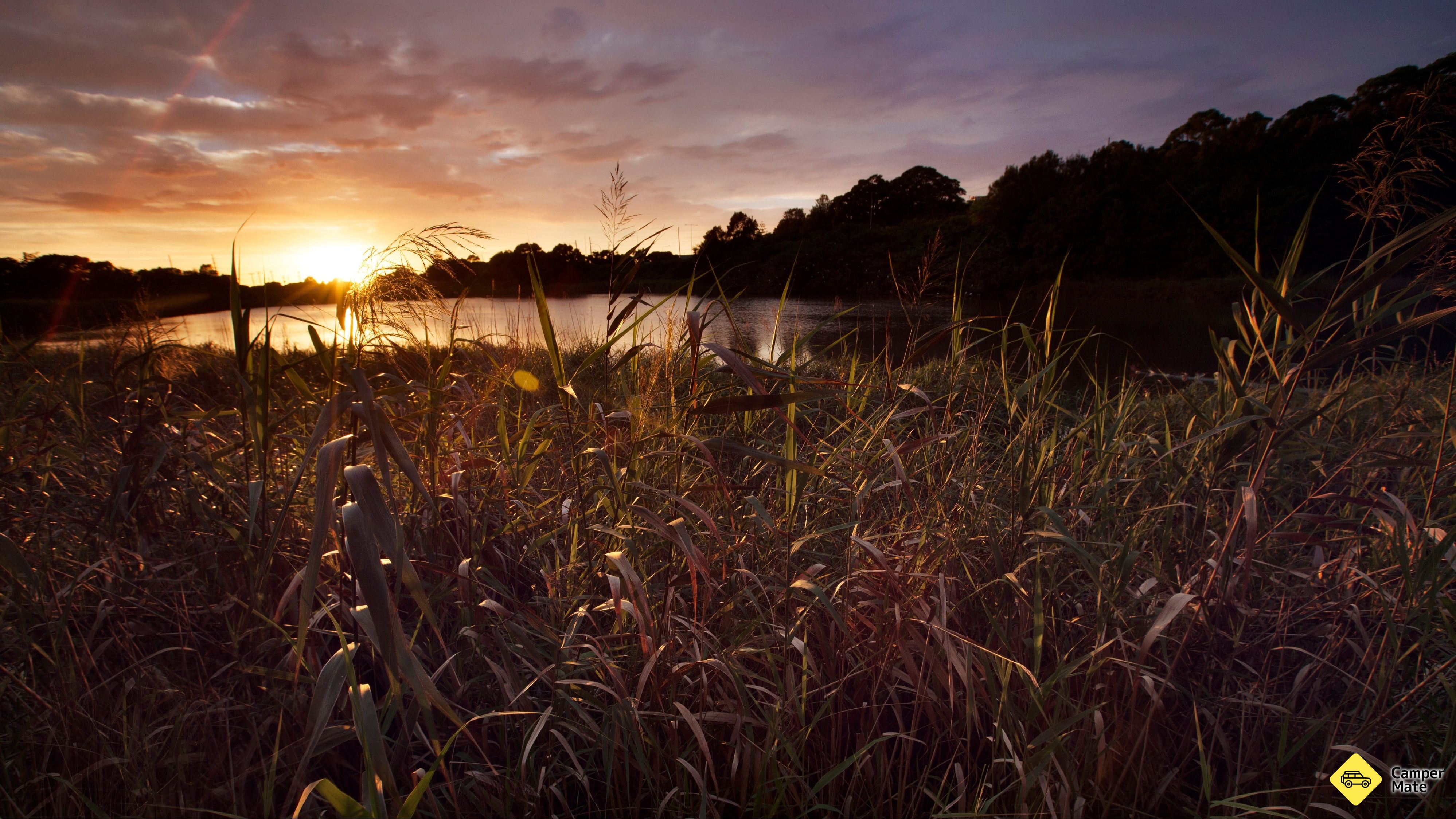 Spring Creek Wetlands Spaziergang