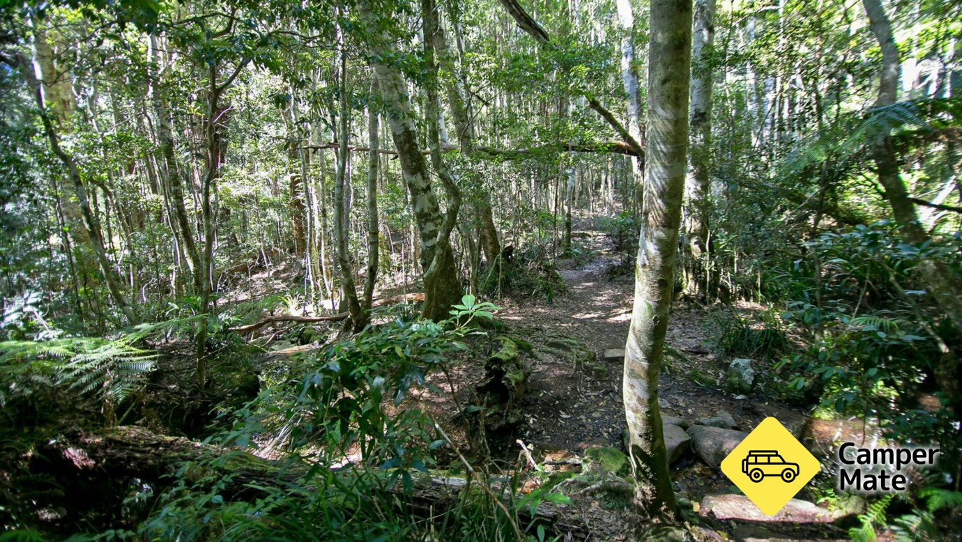 Daves Creek Circuit - Image 2