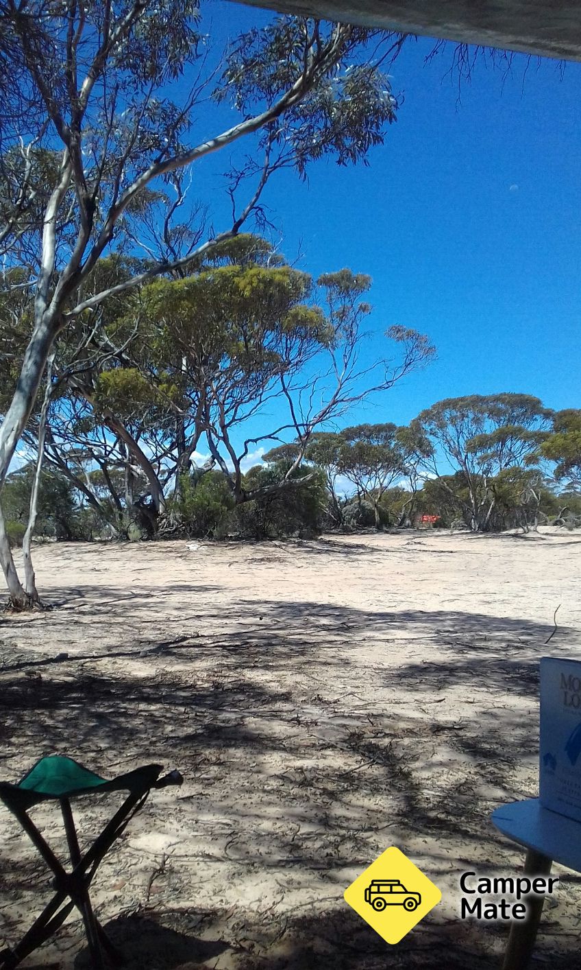 311km Peg Rest Area - Image 2