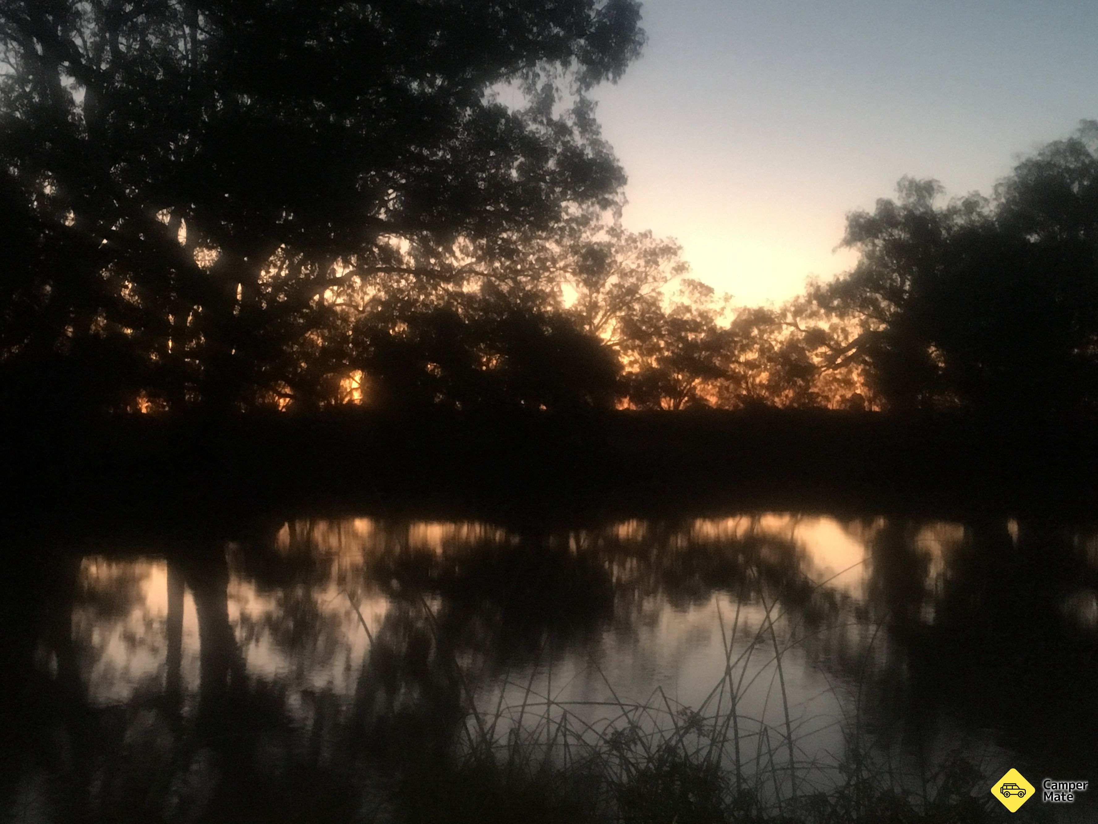 Ward River - Image 2