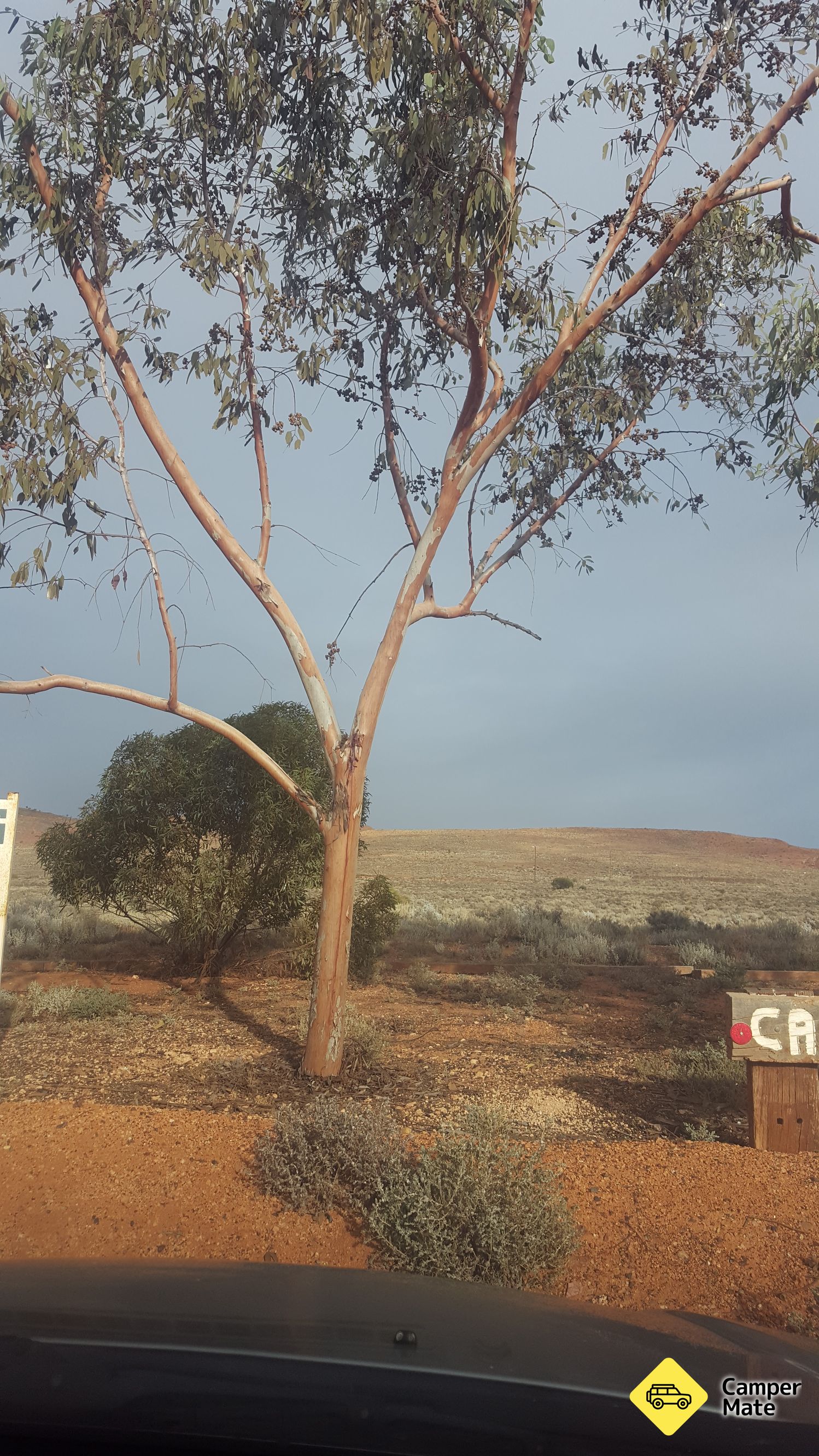 קמפינג Knobbies & Caravan Area