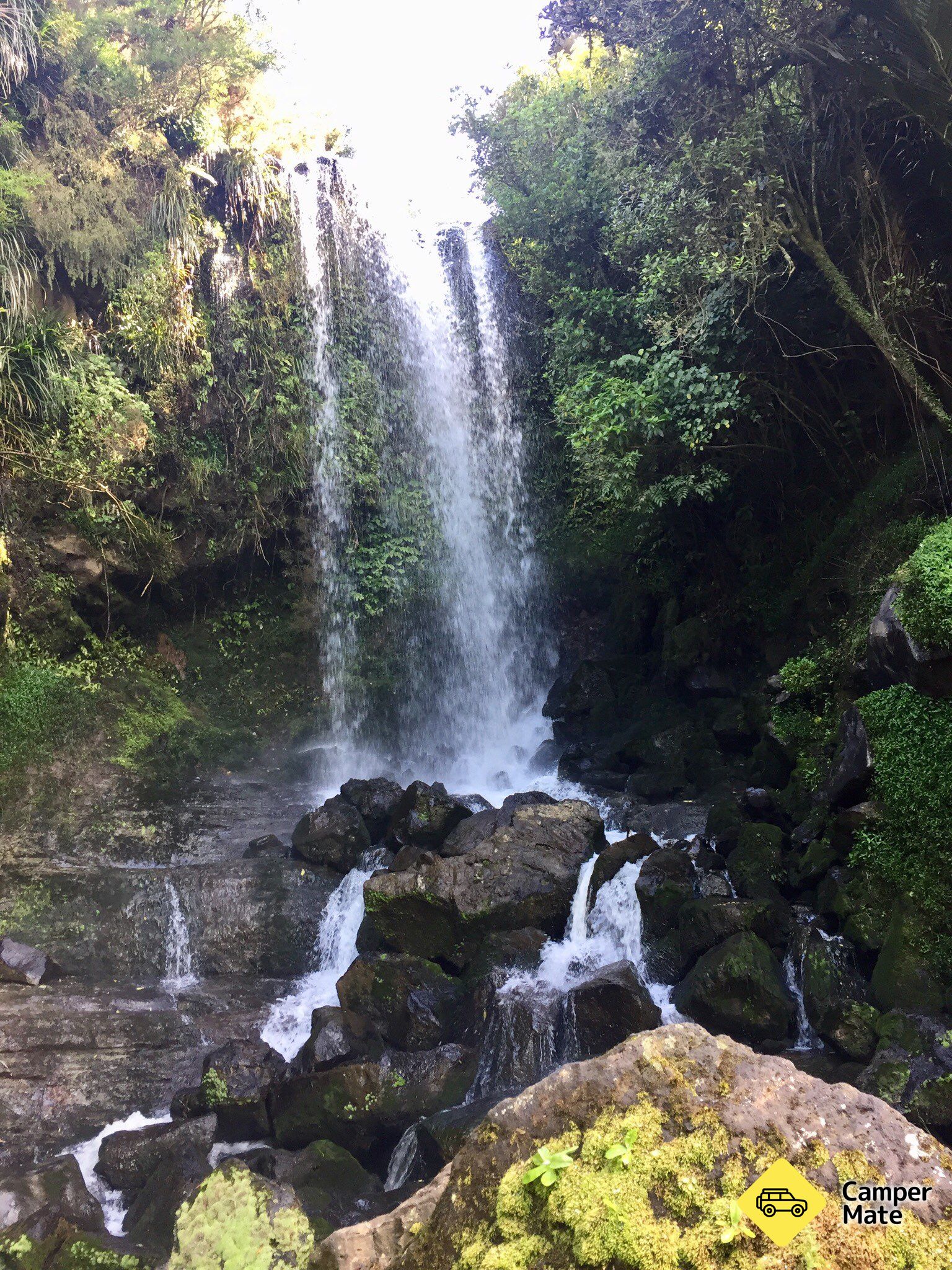 Bảng giá Vivian Falls Walk - Image 2