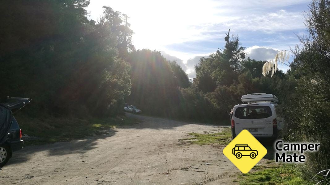 Kaimanawa Road Campsite - Image 3