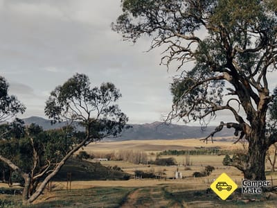 Michelago Farm Camping