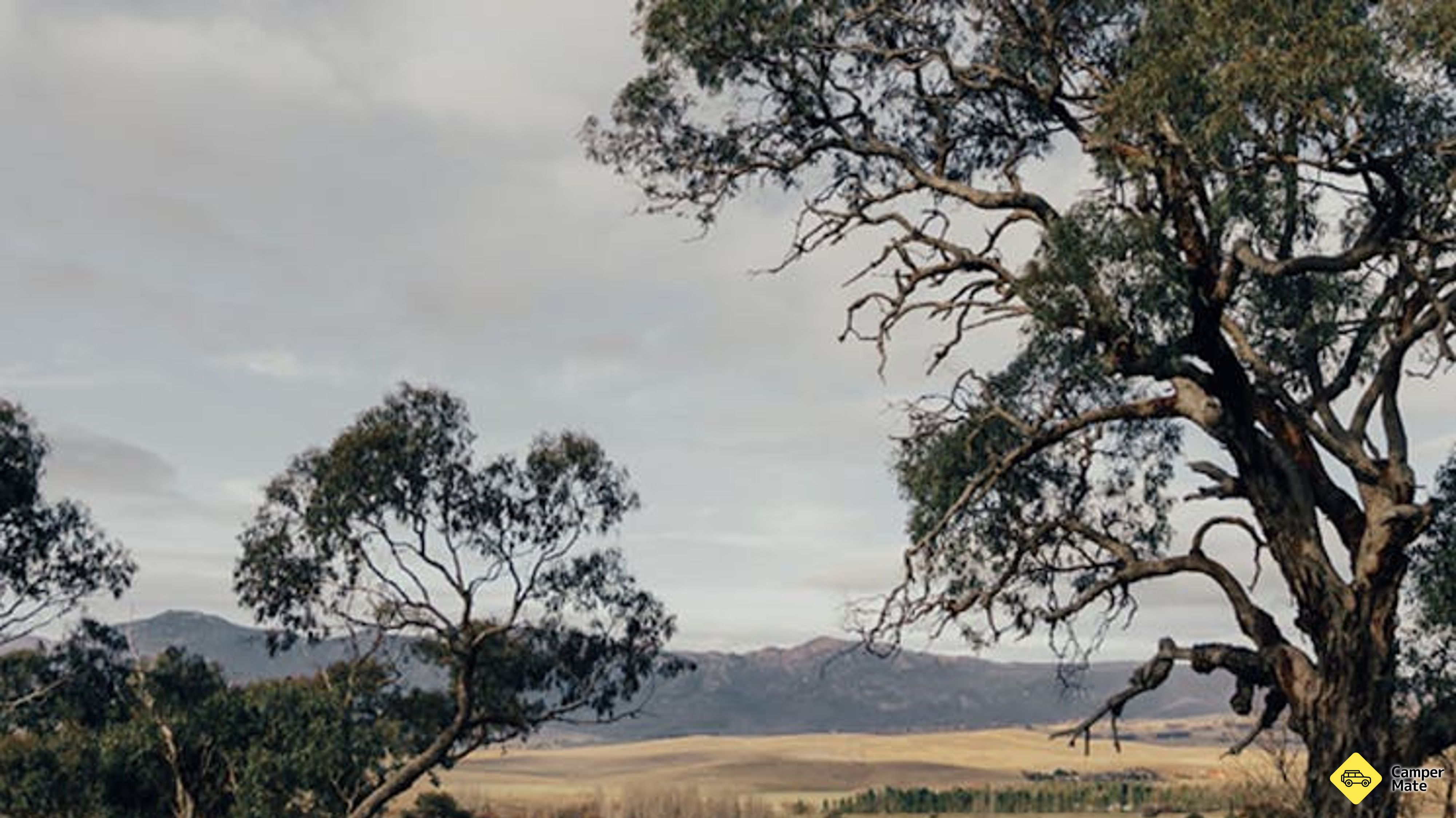 Caloola Farm photo 5