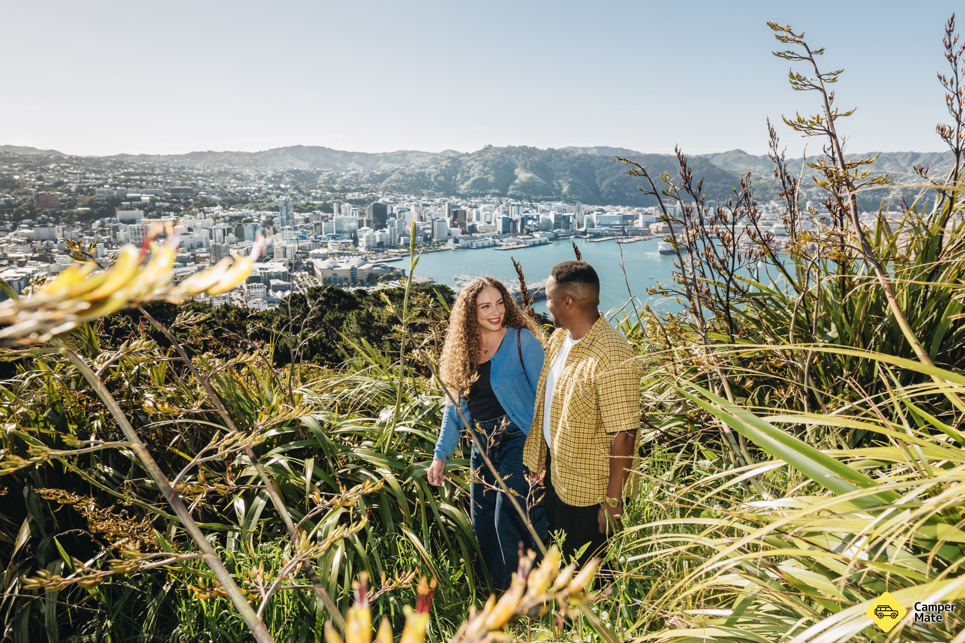 Mount Victoria Lookout