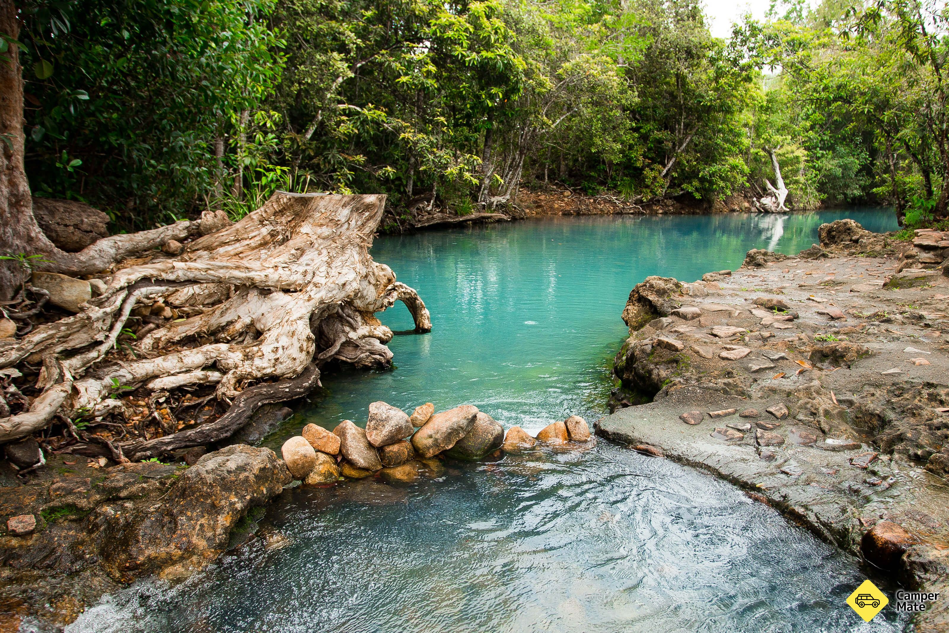 Бассейн Cardwell Spa