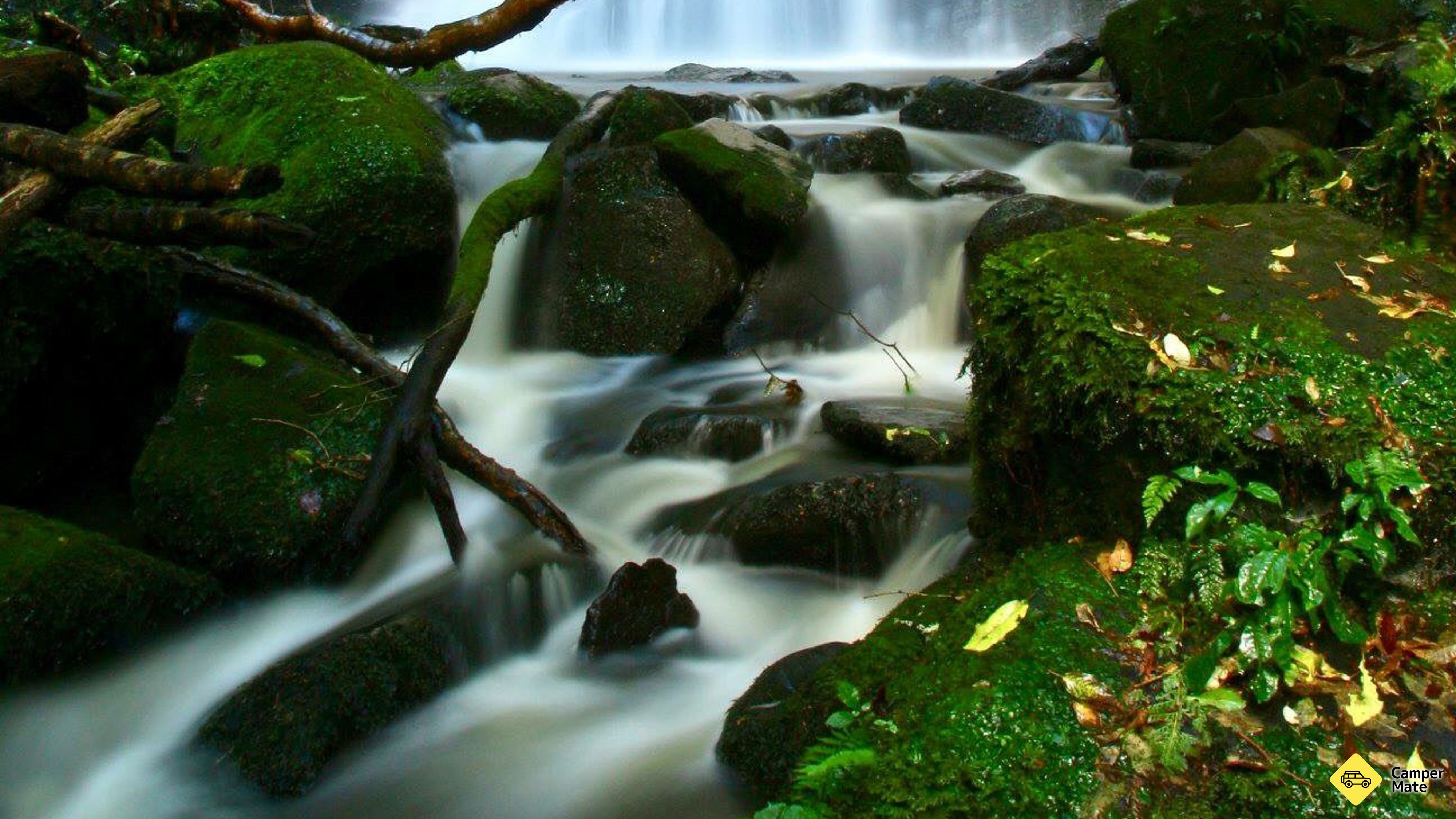 Matai et les chutes de Horseshoe