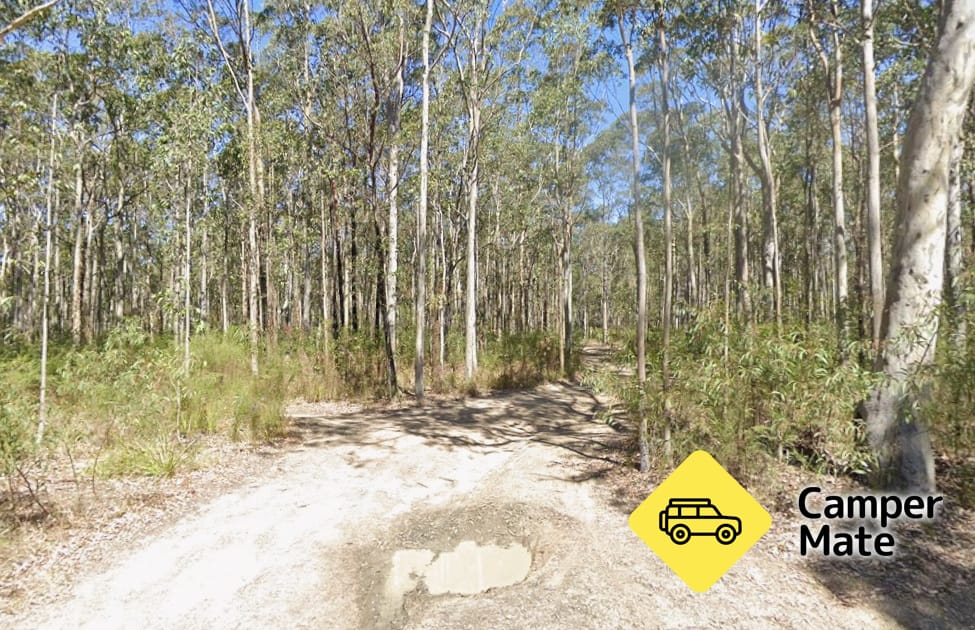 Yerriyong State Forest Bush Camp