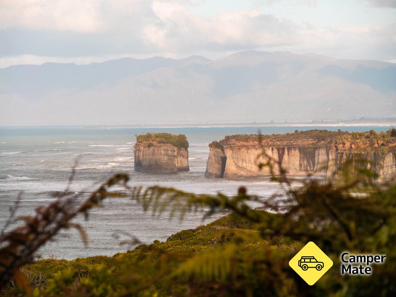 ケープ・フウルウィンド(Cape Foulwind Walkway) - Image 3