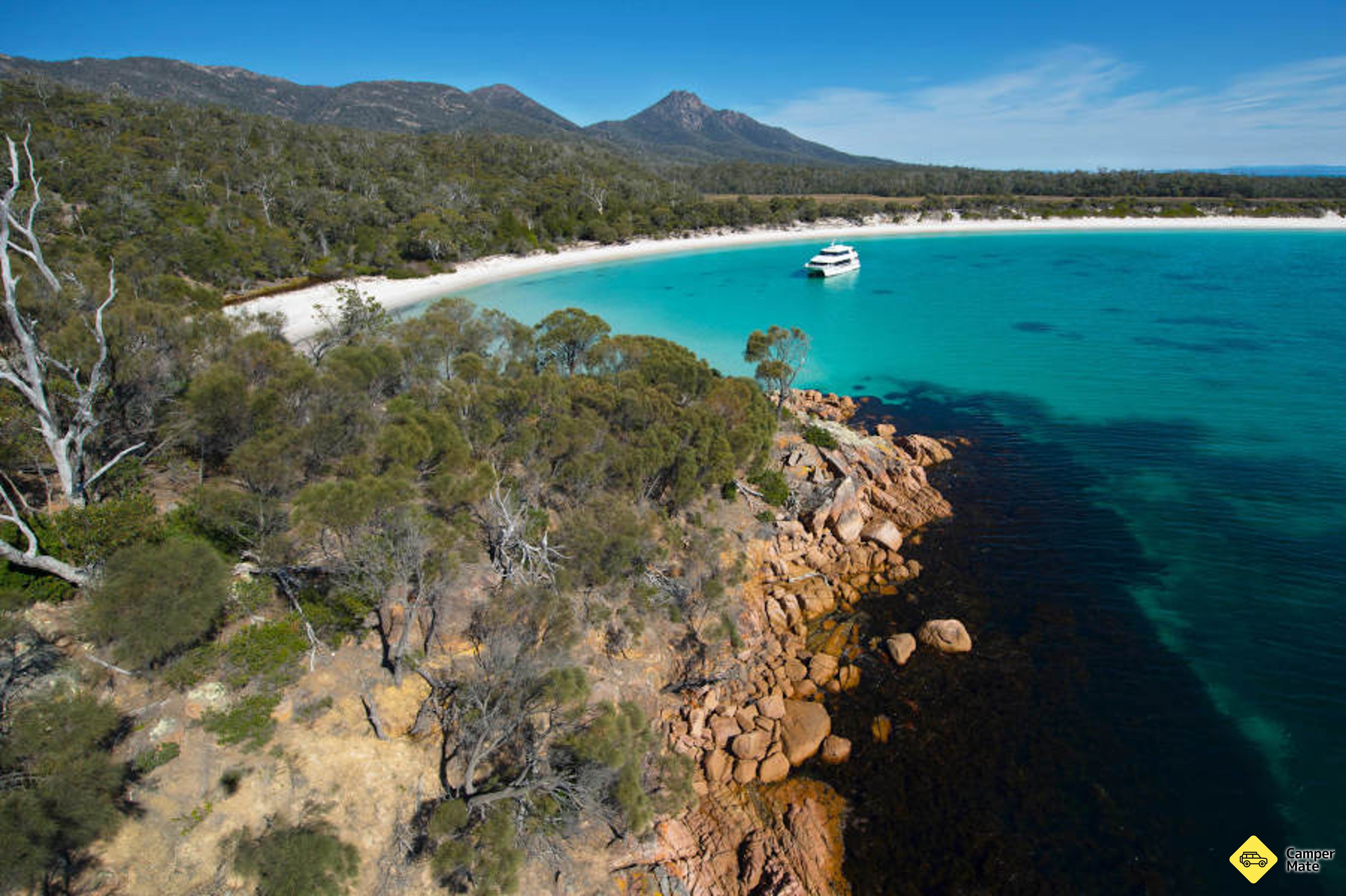 Viaje a Wineglass Bay Scenic Cruise - Image 2