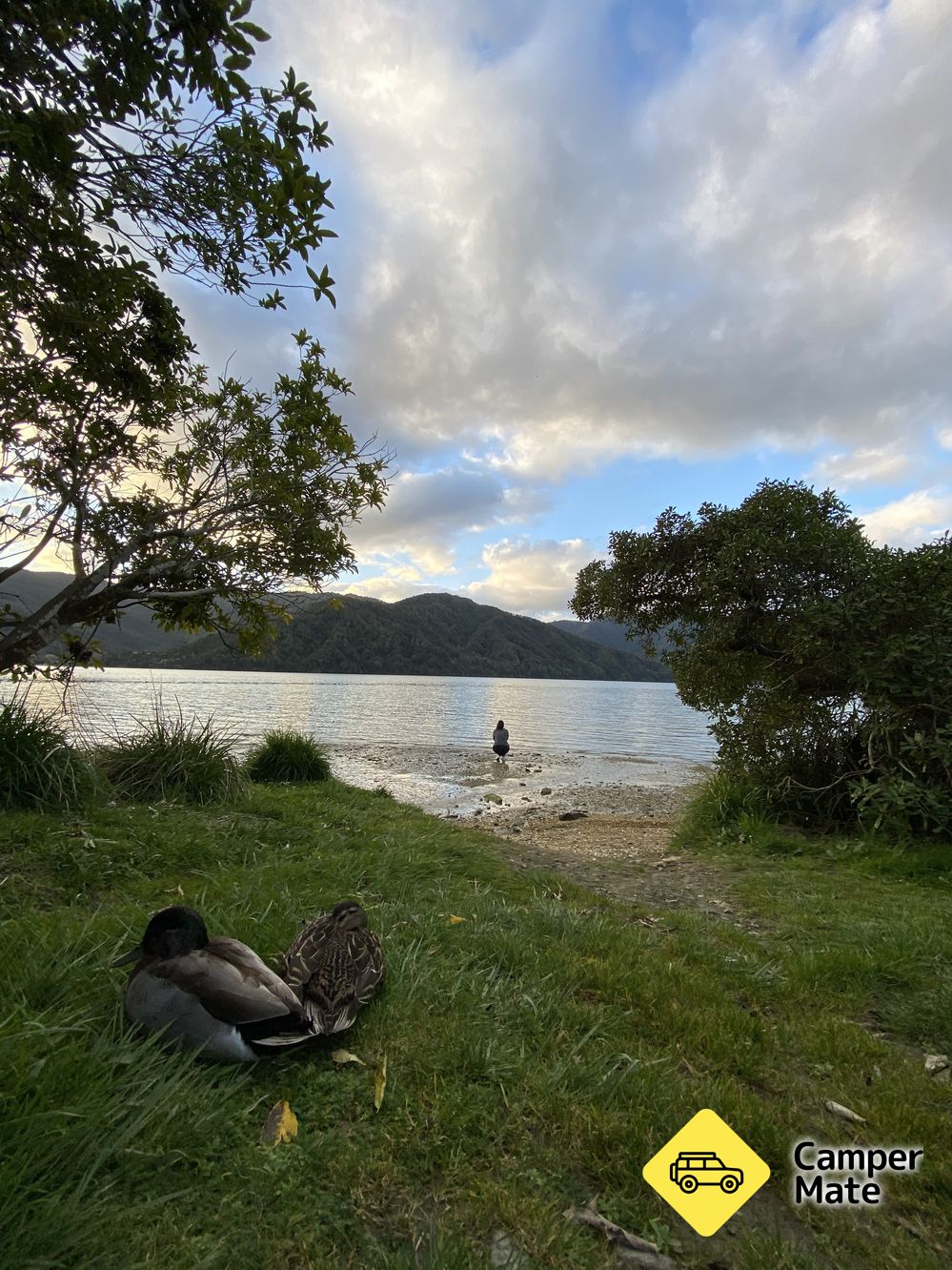 Aussie Bay Campsite, Marlborough, Marlborough, New Zealand | CamperMate ...