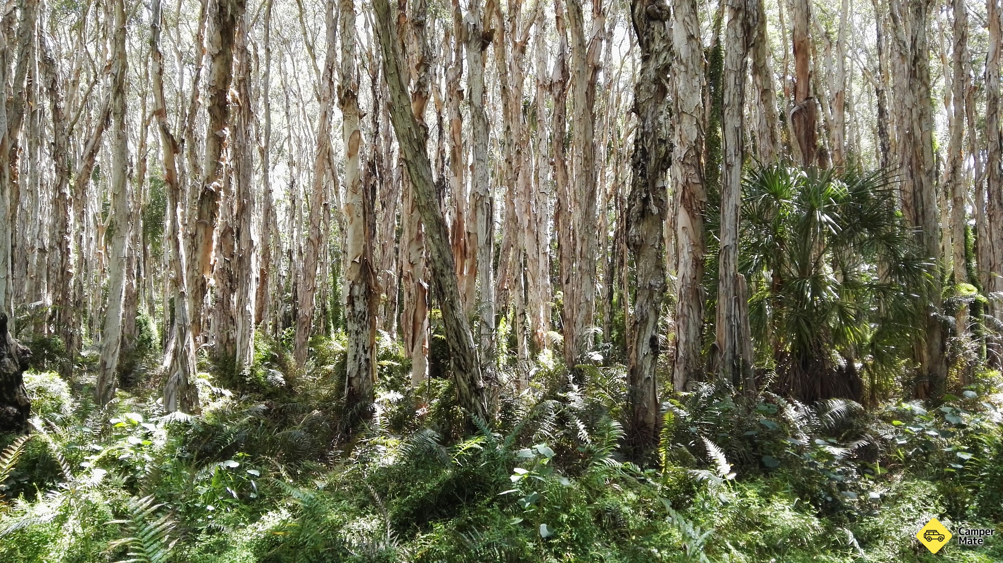 Kaart Paperbark Forest Boardwalk