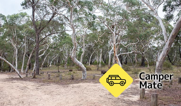 Wog Wog Campground - Image 3