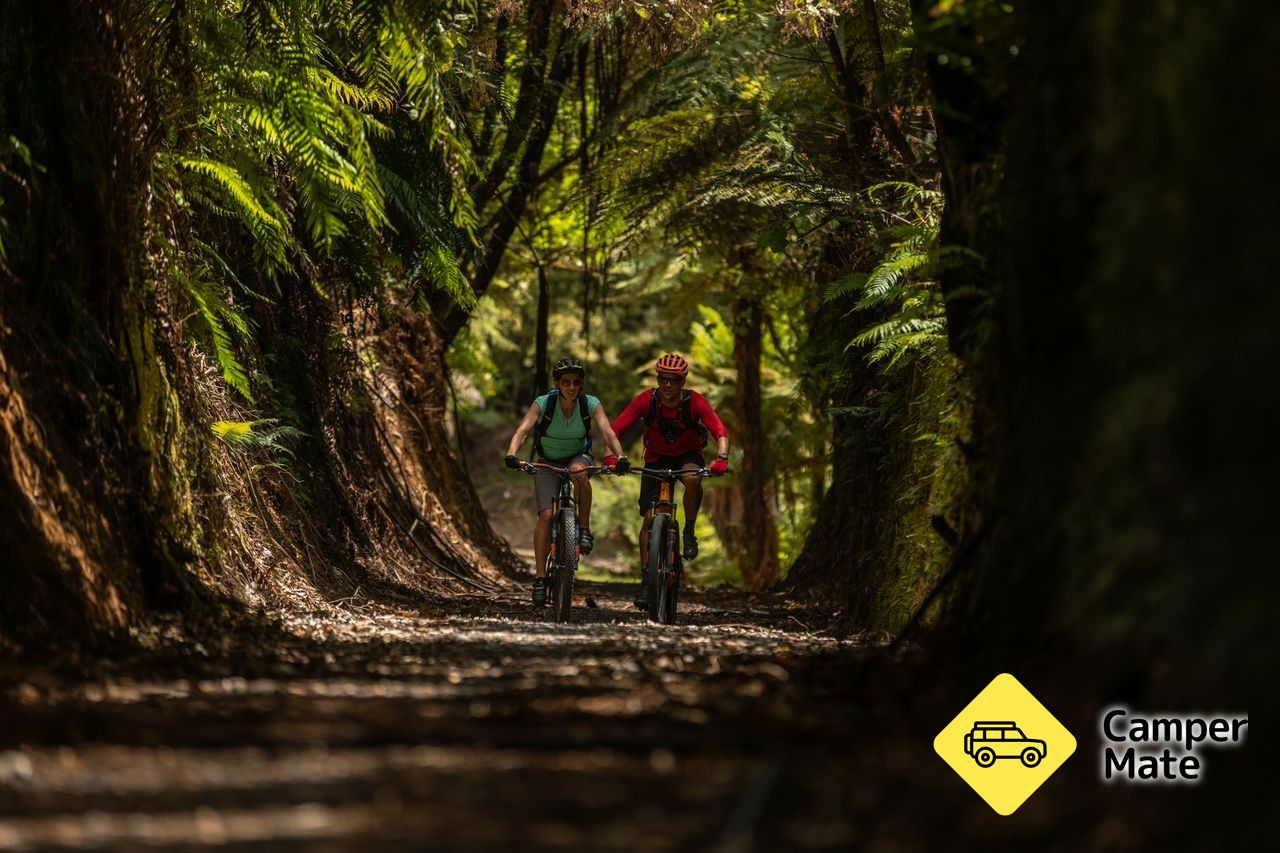 The Timber Trail