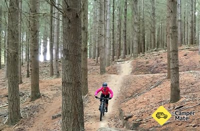Sticky Forest MTB Trails