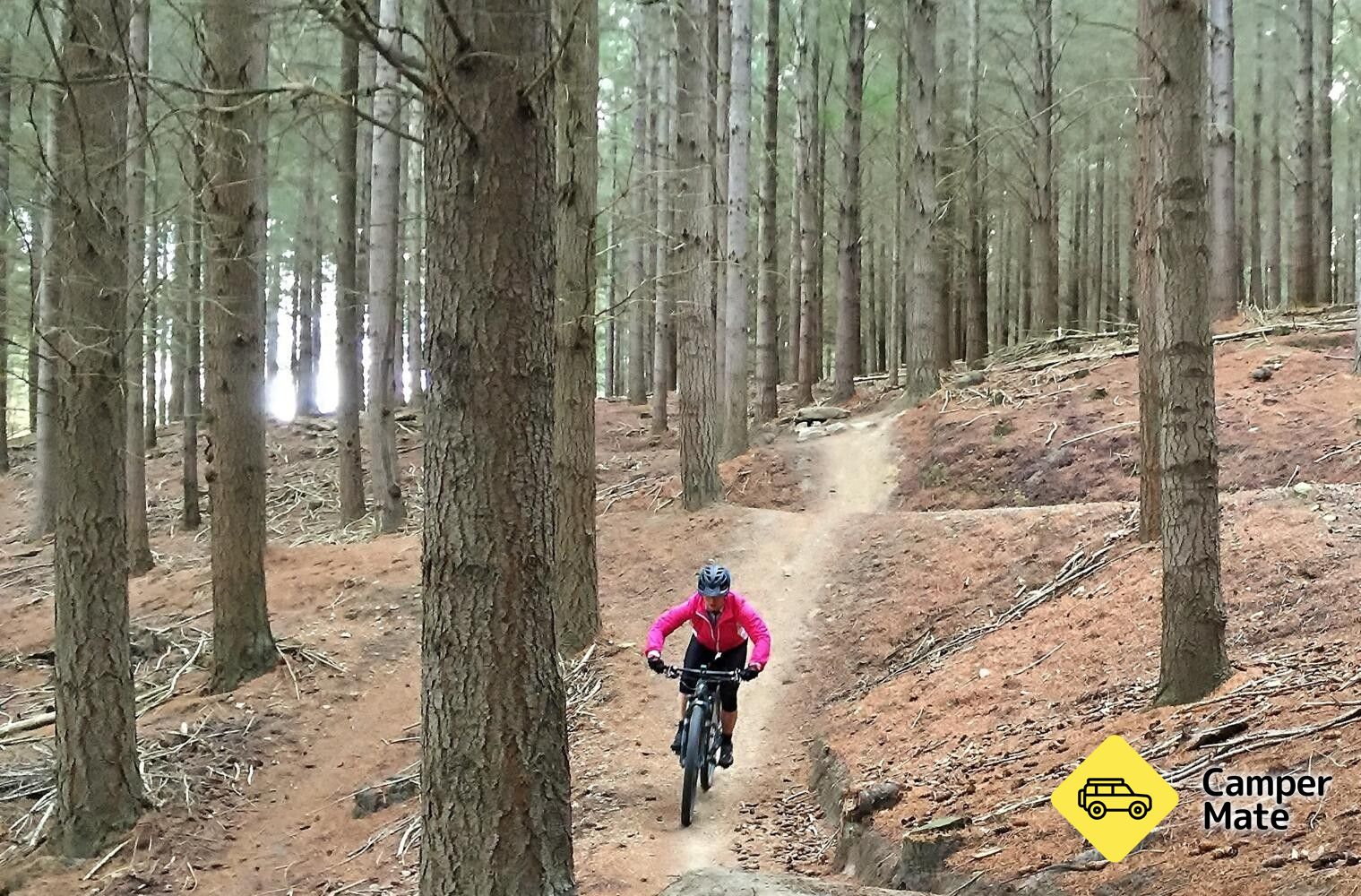 Stațiunea Sticky Forest MTB Trails