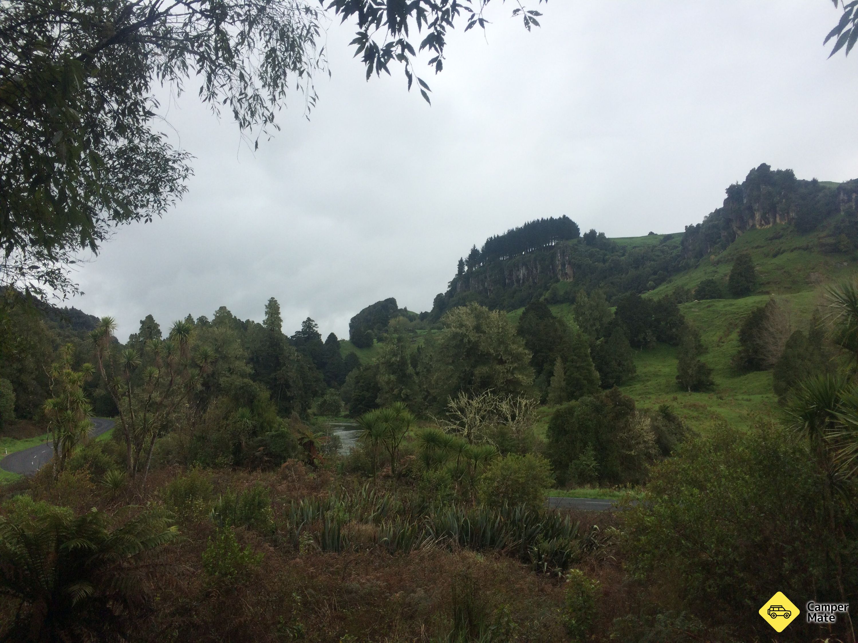 Mangaotaki Walk