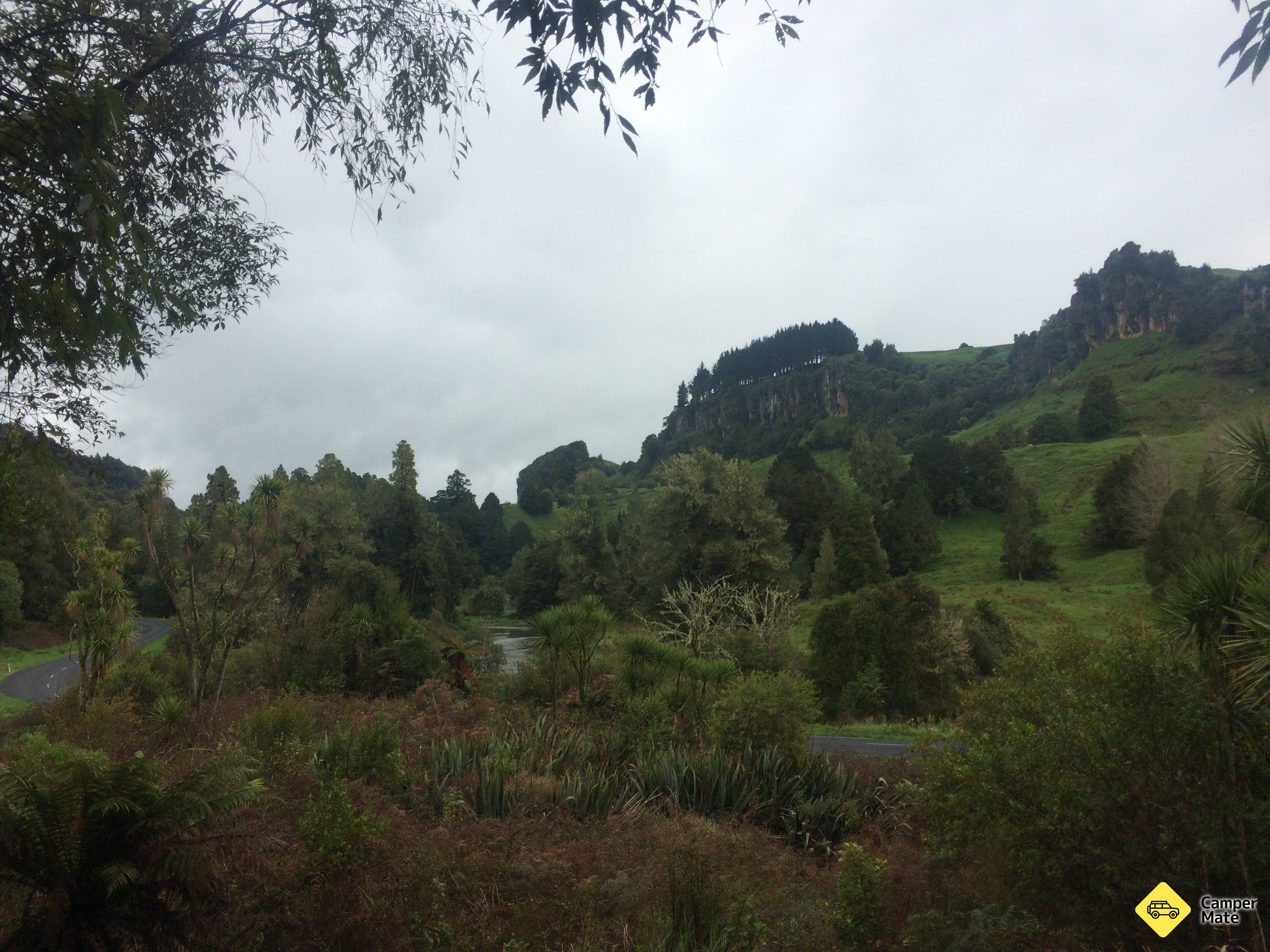 Mangaotaki Walk