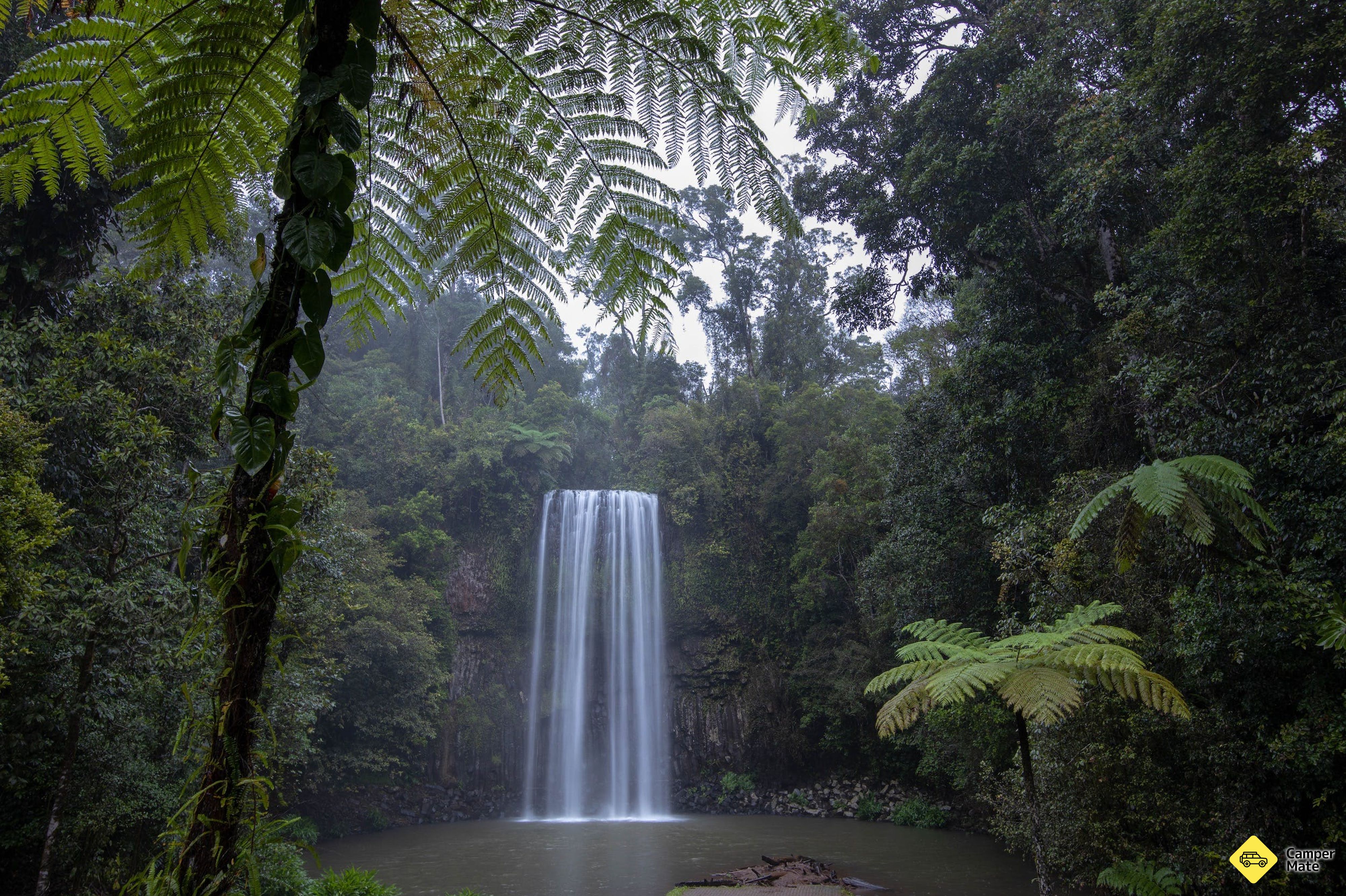 Millaa Millaa Falls - Image 3