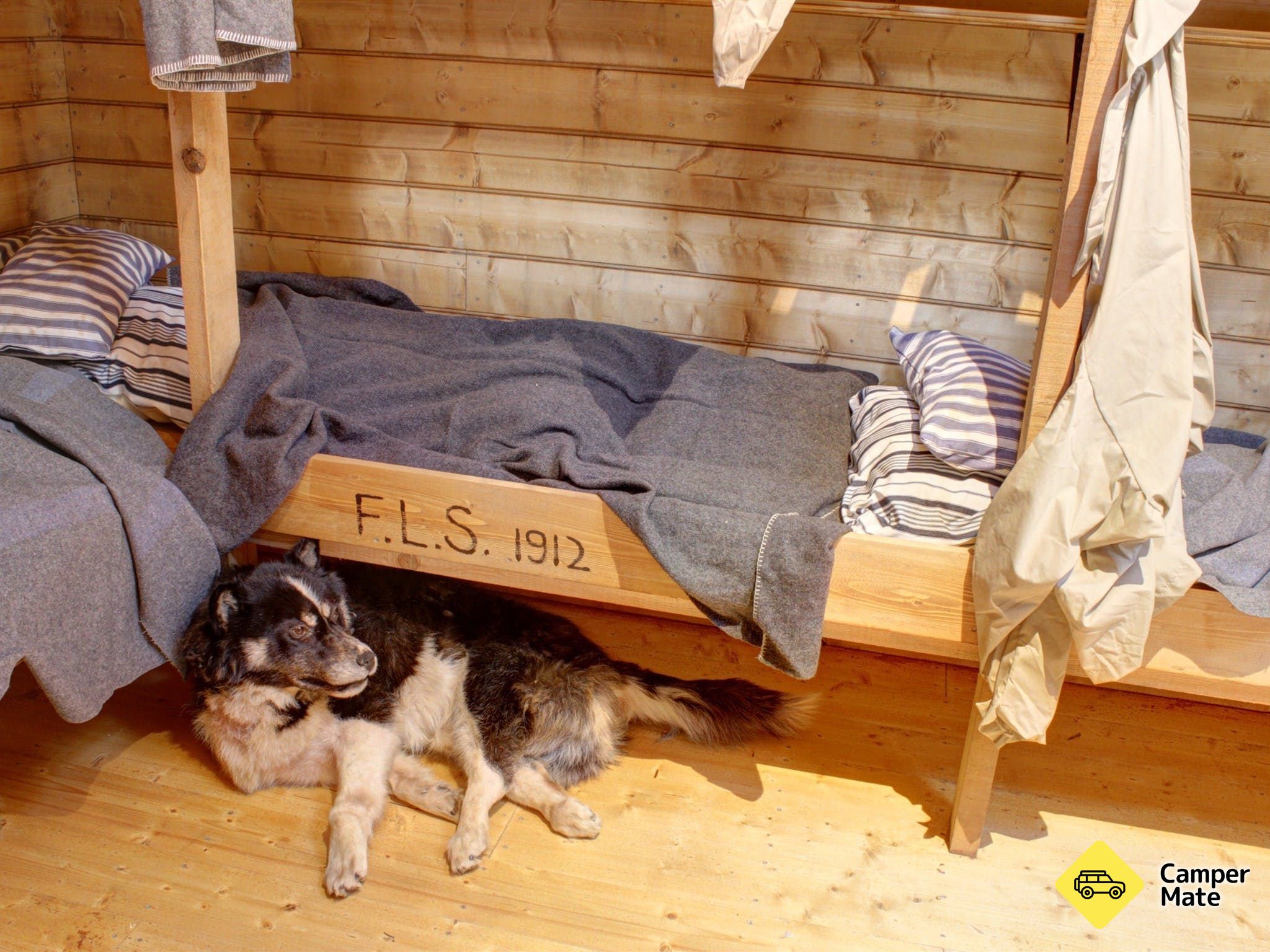 Aktivitäten in der Nähe von Mawson's Huts Replica Museum