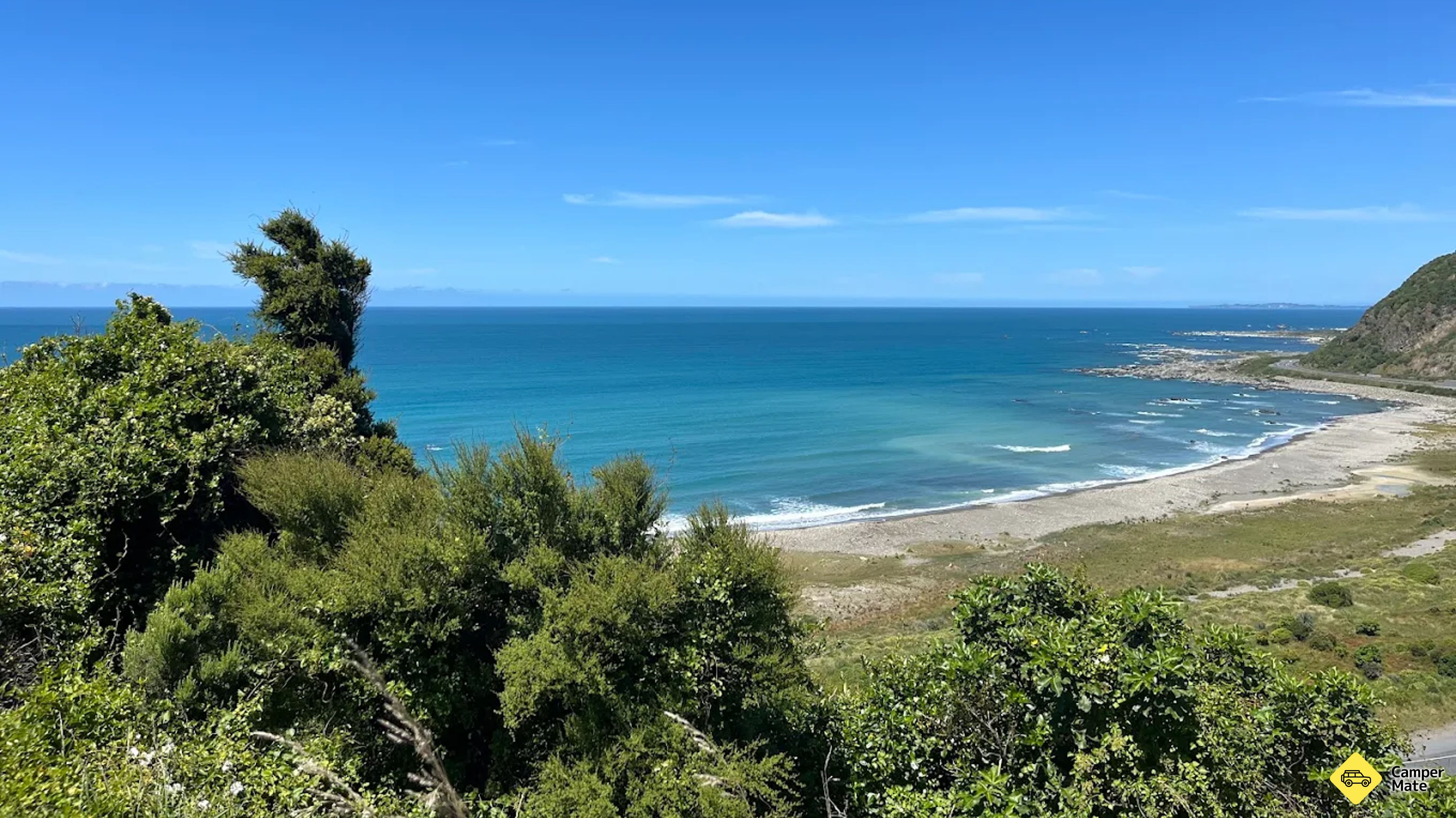Pacific Lookout Track