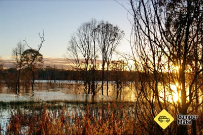 Wooroolin Wetland