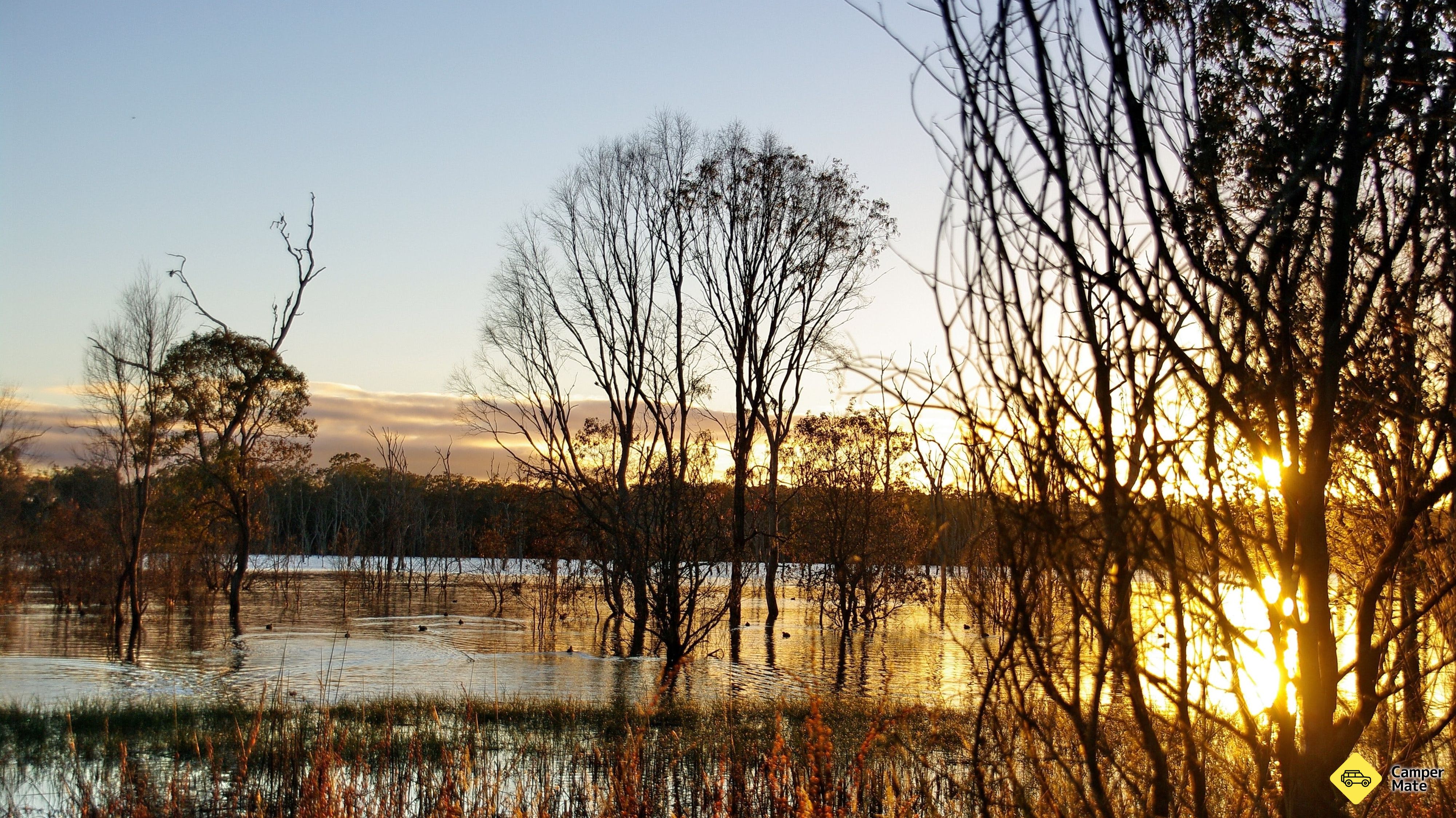 Wooroolin Wetland