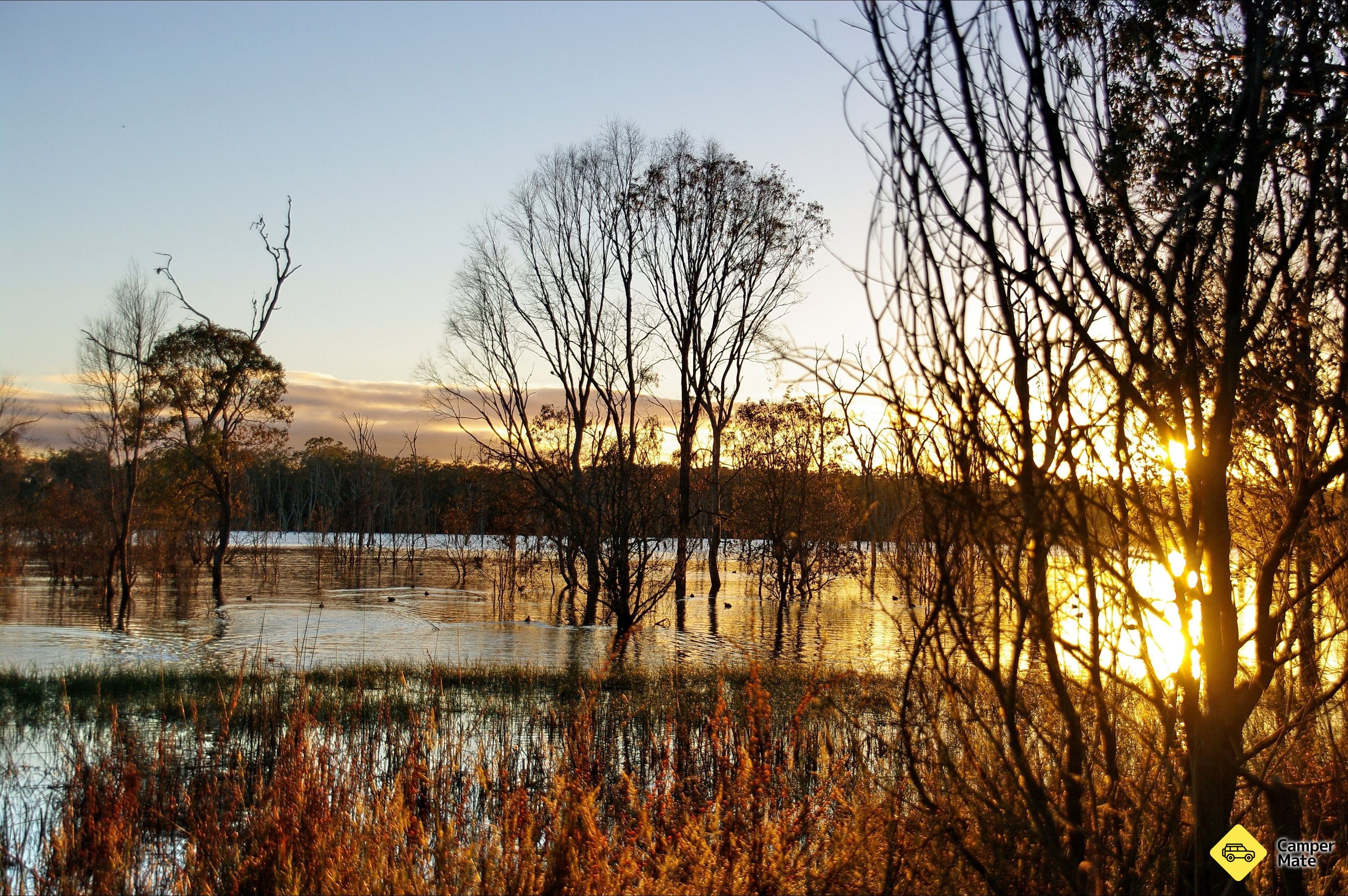 Khu vực Wooroolin Wetland