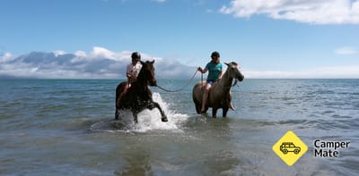 Hack'n Stay Riding & Accommodation