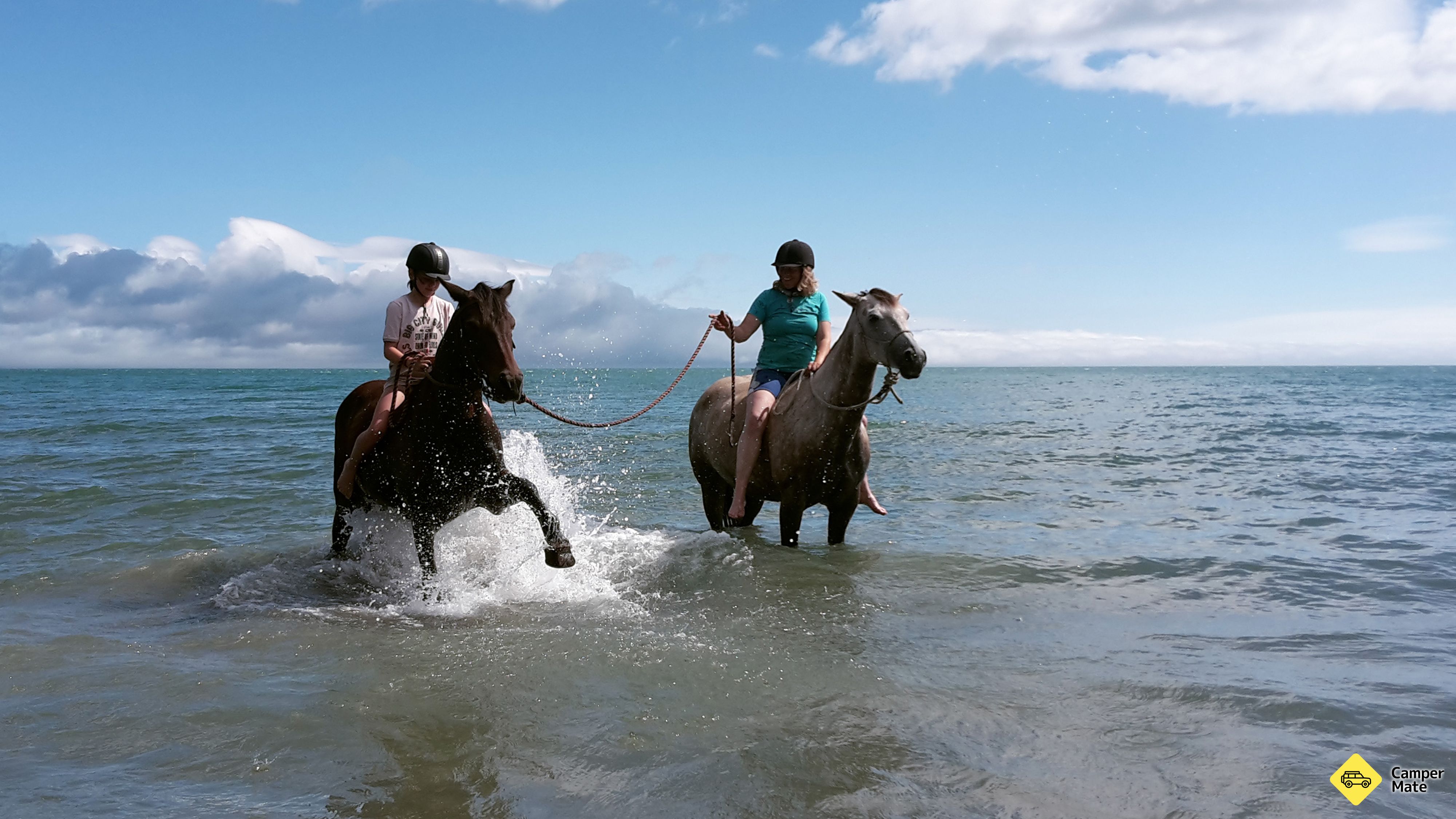 Hoạt động giải trí gần Hack'n Stay Riding & Accommodation