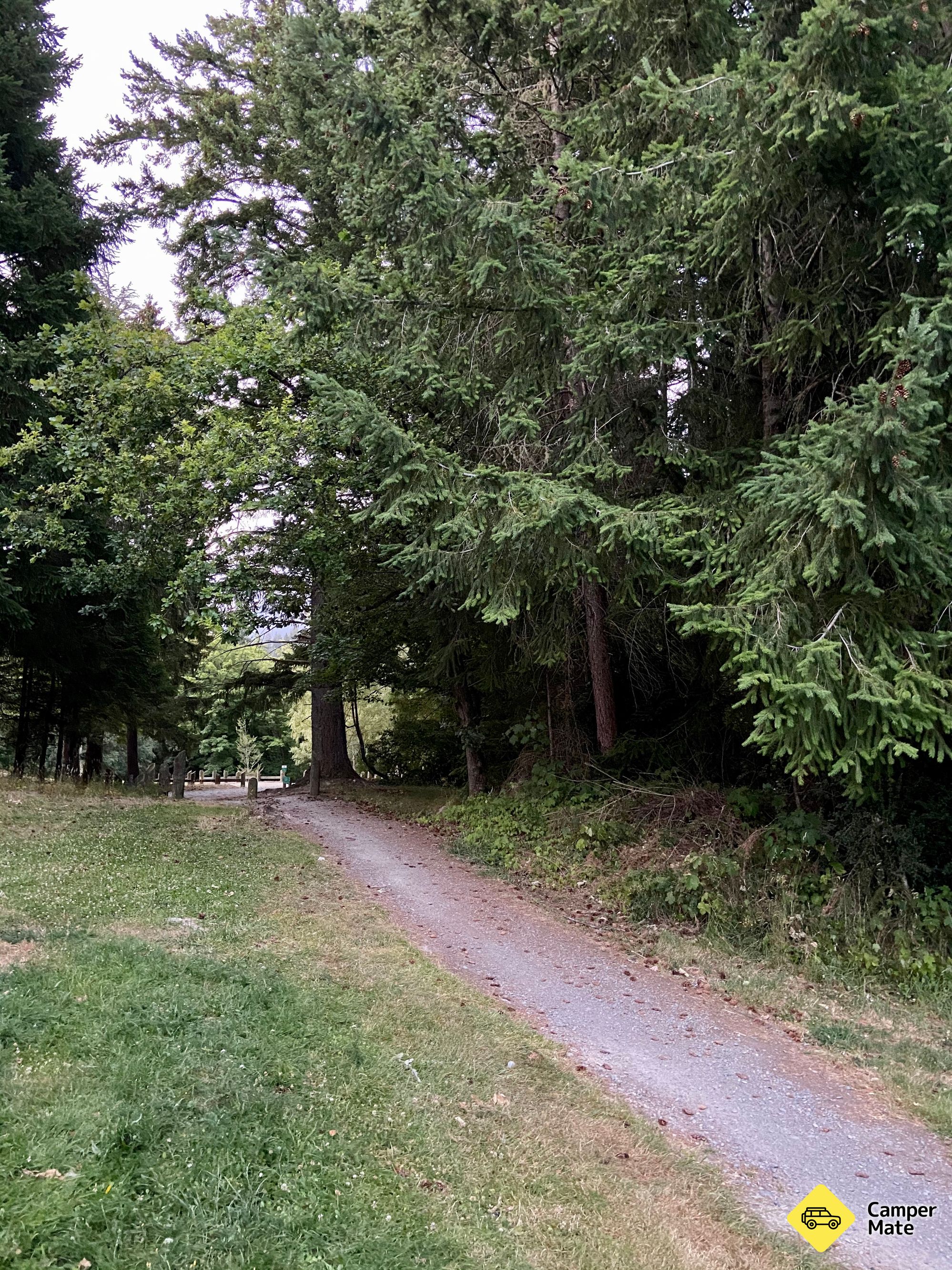 Hanmer Amenity Area - Image 2